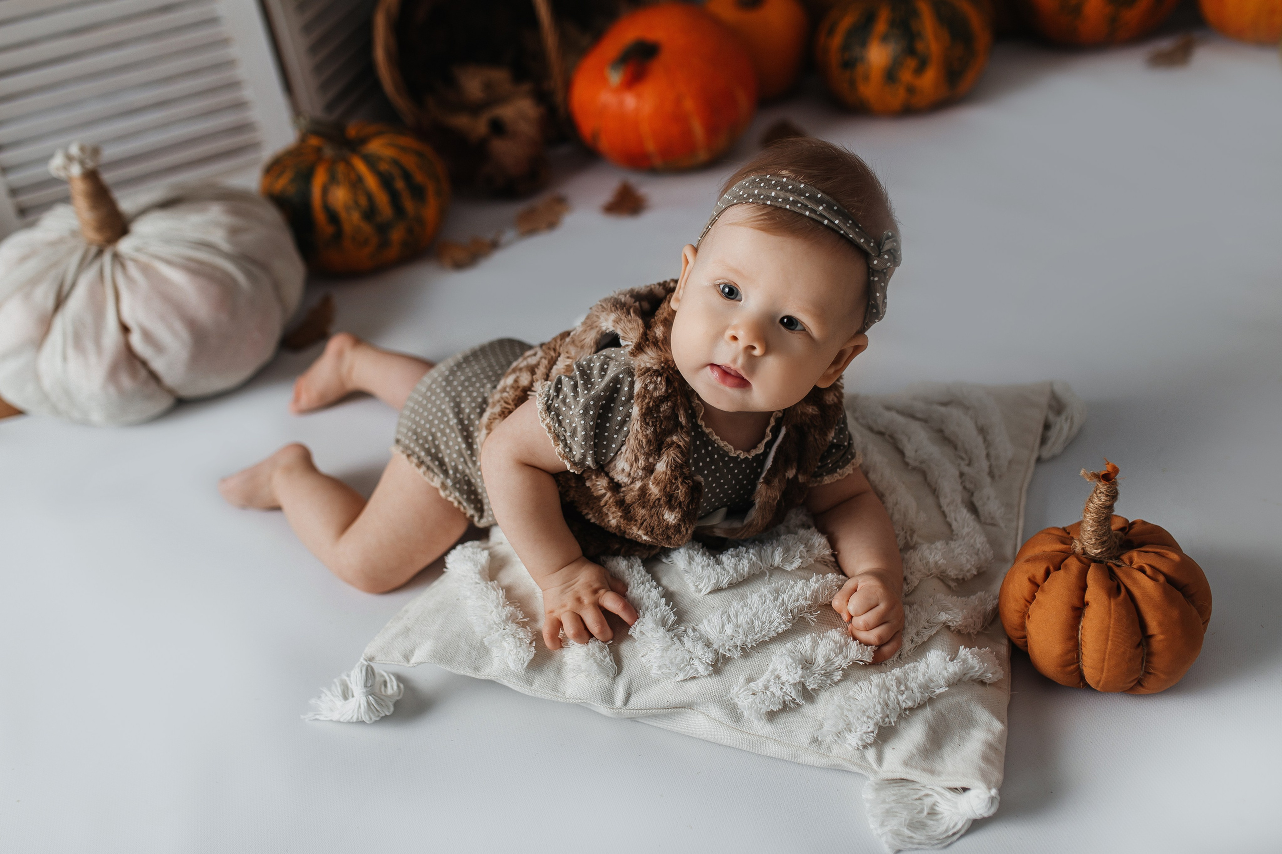 Тыквы. Фотограф новорождённых Екатерина Боброва. Ульяновск