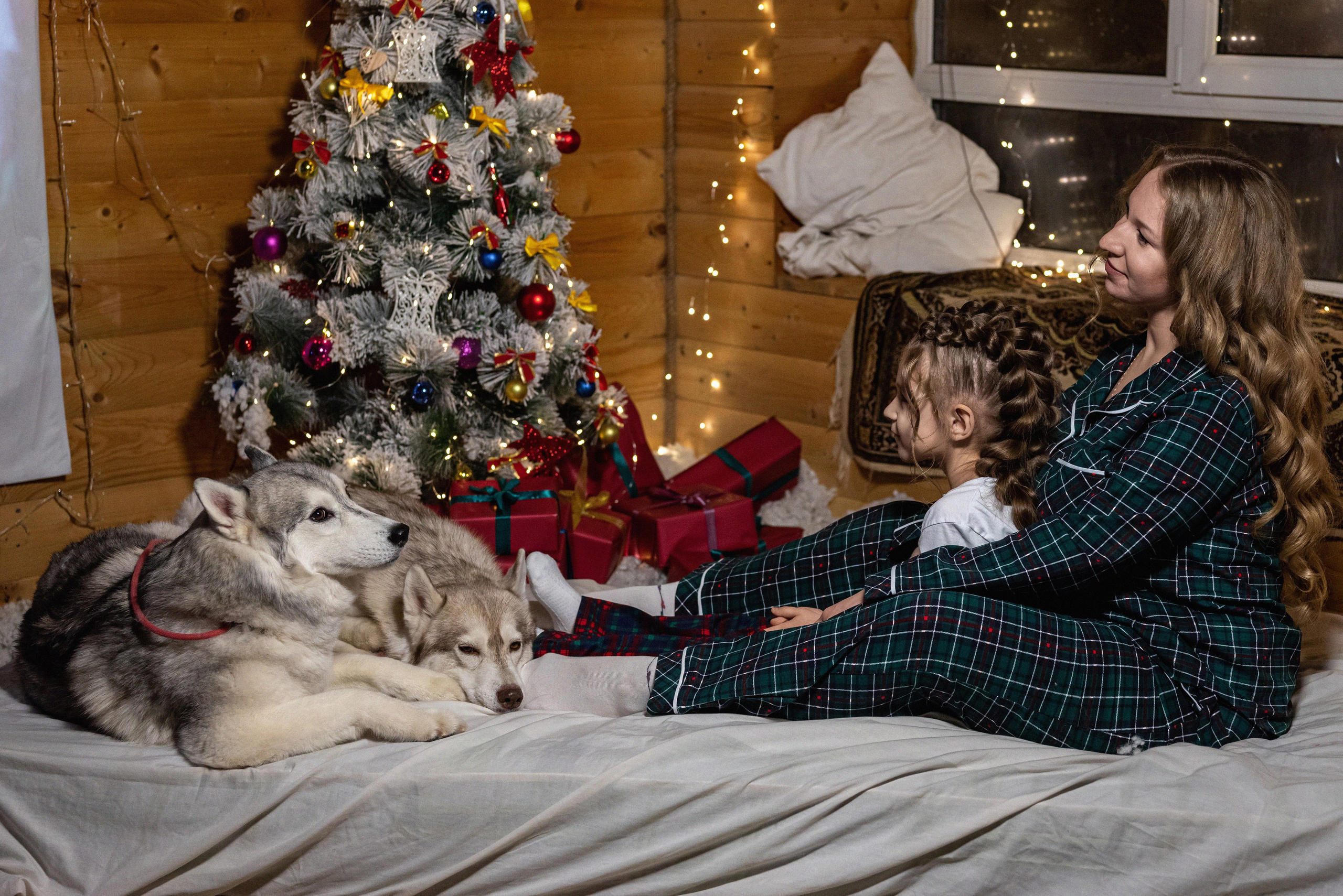 Фотопроект с хаски 2024 г. Фотограф в городе Салават