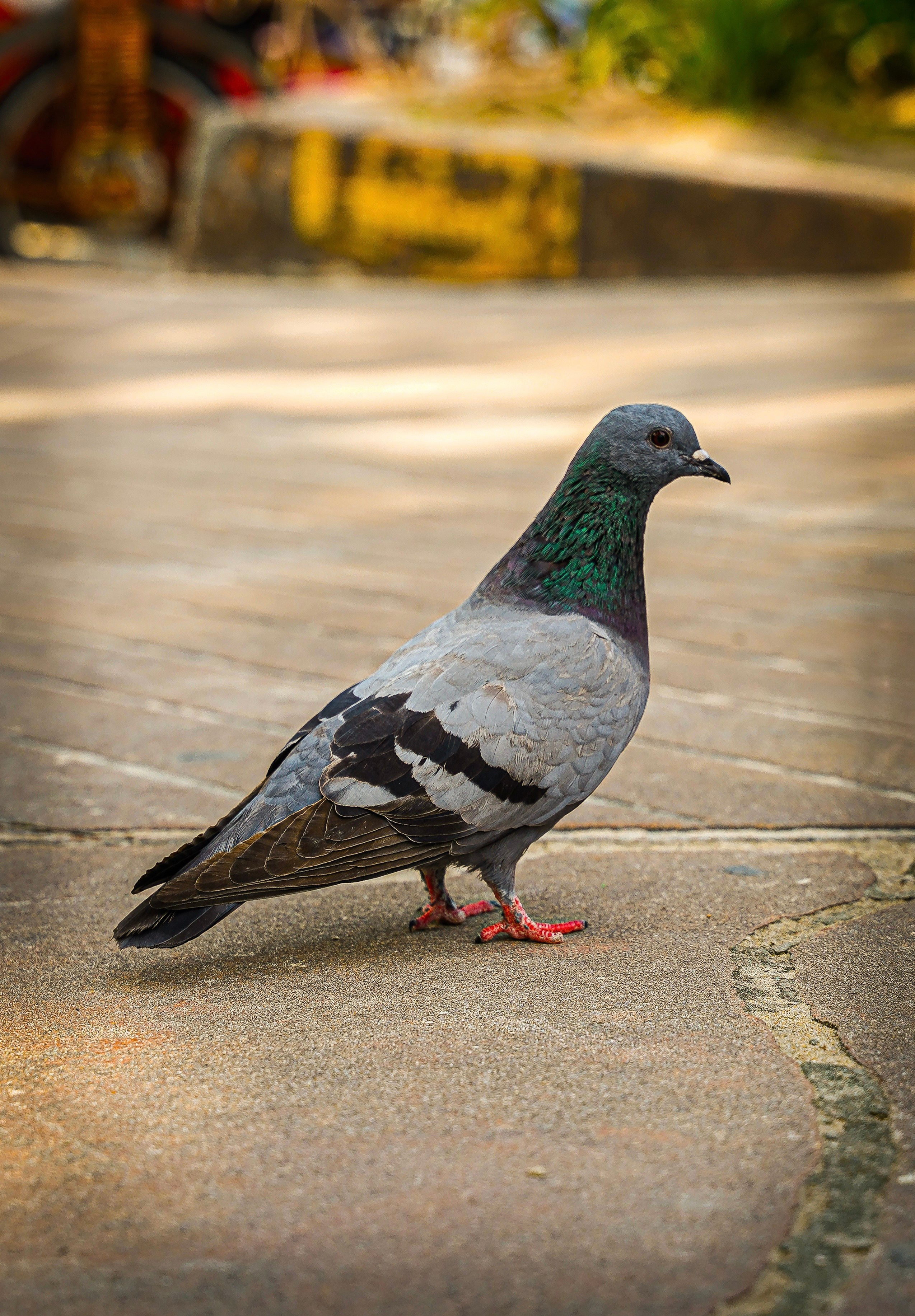 Архитектура и природа. Главная