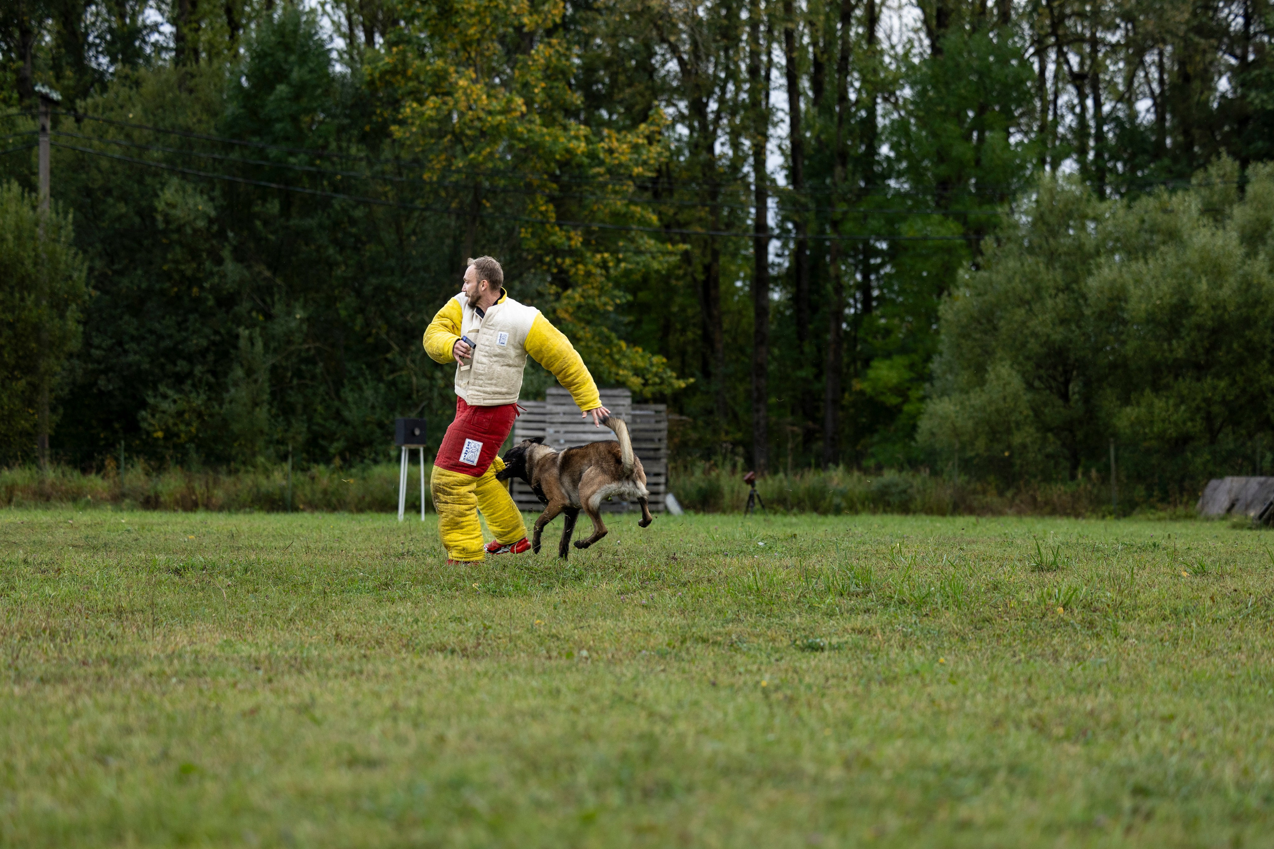 Испытания по Мондьорингу г. Пушкин. Фотограф-анималист Анна Маринич