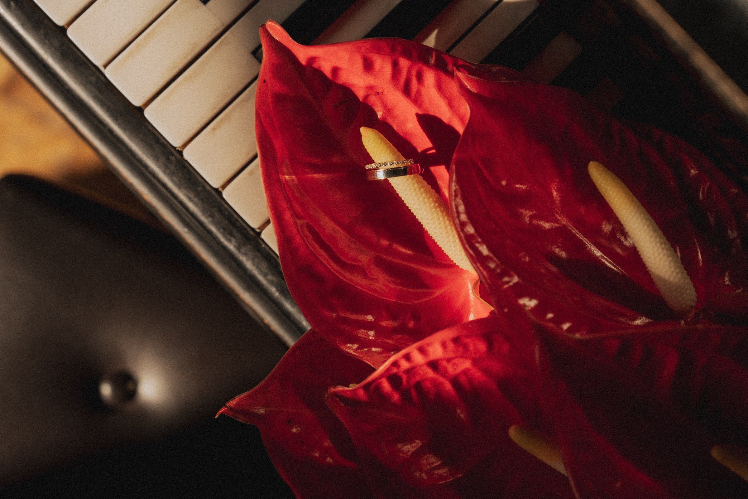 О ♡ Е — В книге нашей жизни (Библиотека-читальня им. А.С.Пушкина). Свадебный и портретный фотограф в Москве, Светлана Янковая