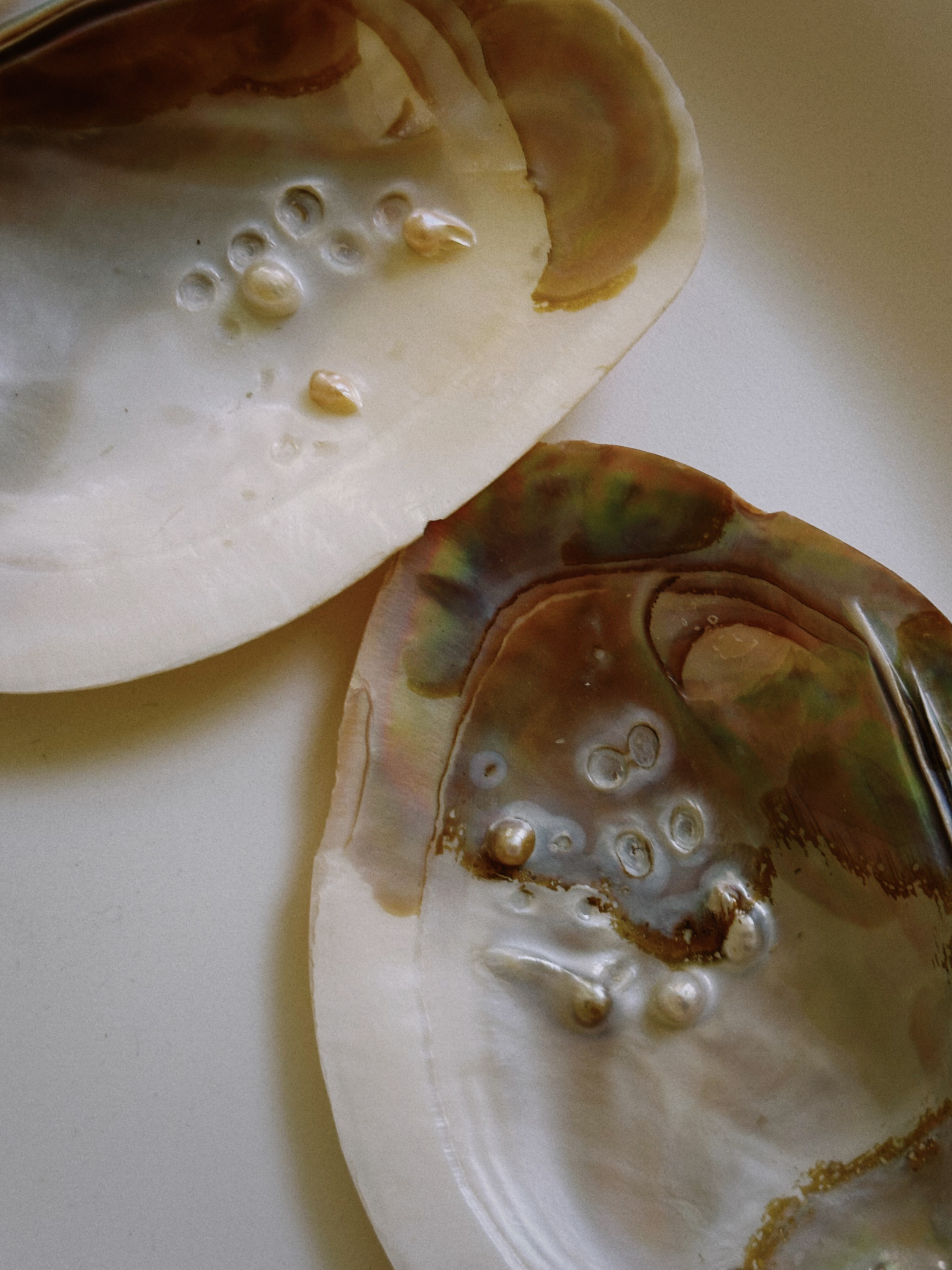 Tenzo x wookiee / lemonade. TENZO | Creative Producer / Art Director