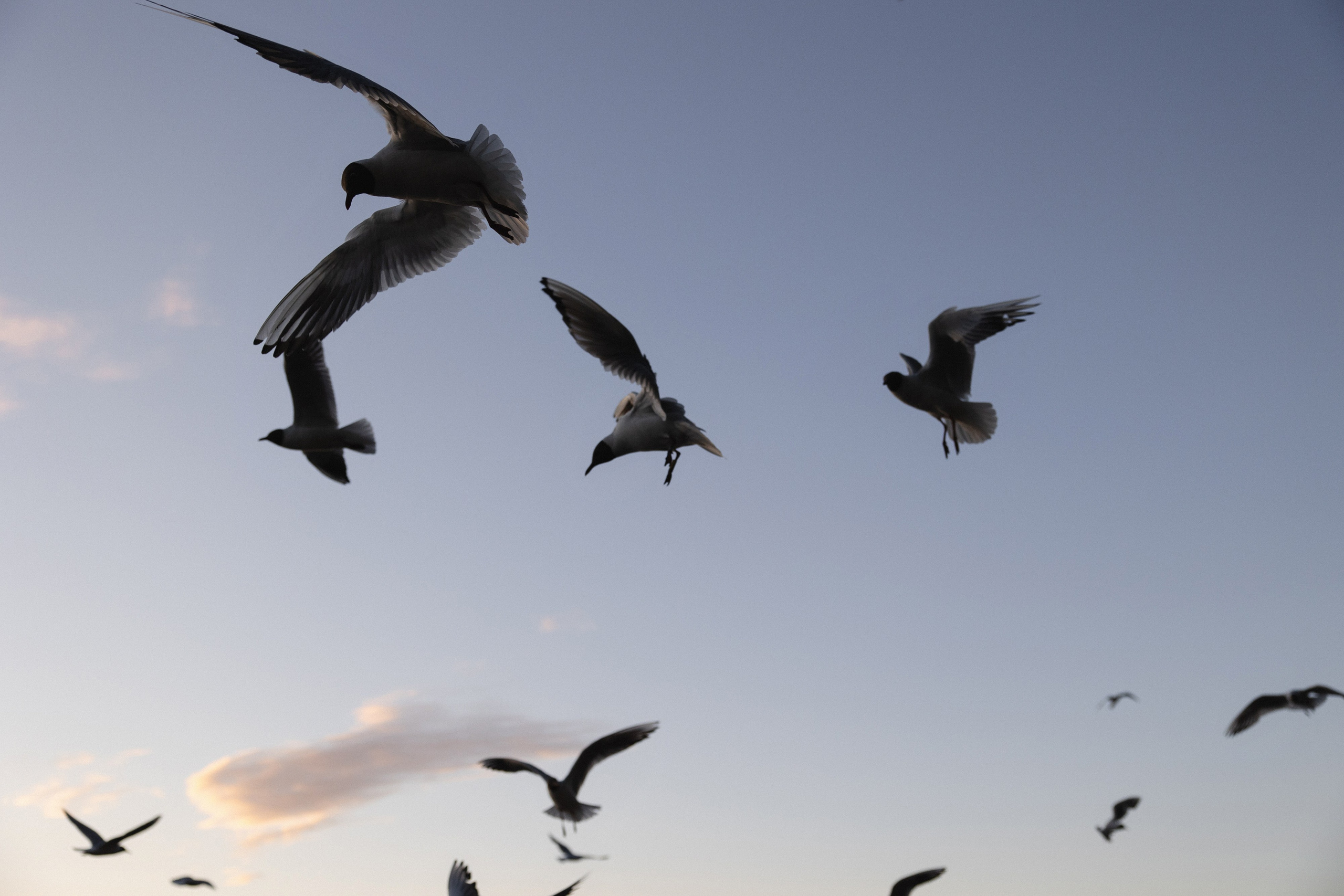 Корпоратив в Санкт-Петербурге. Свадебный и репортажный фотограф в Санкт-Петербурге | Михаил Песиков