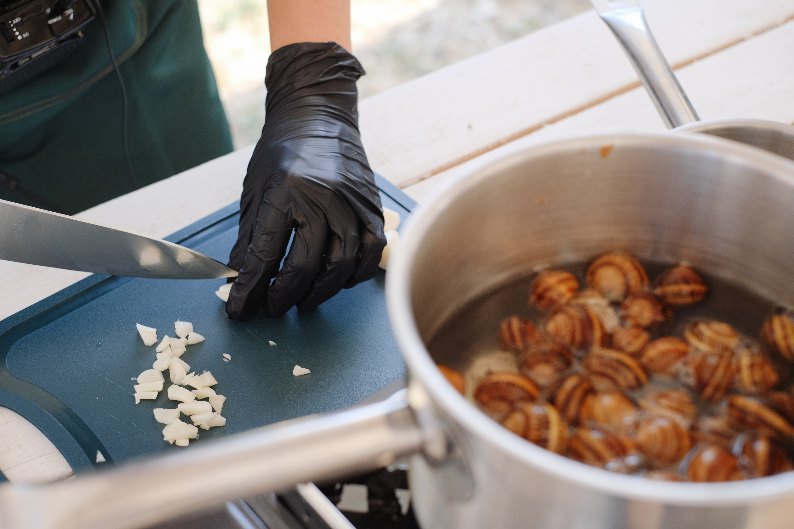 Репортаж на ферме. Профессиональная фотосъемка в Крыму. Натуральные эмоции и живые кадры. Забронируйте дату прямо сейчас!