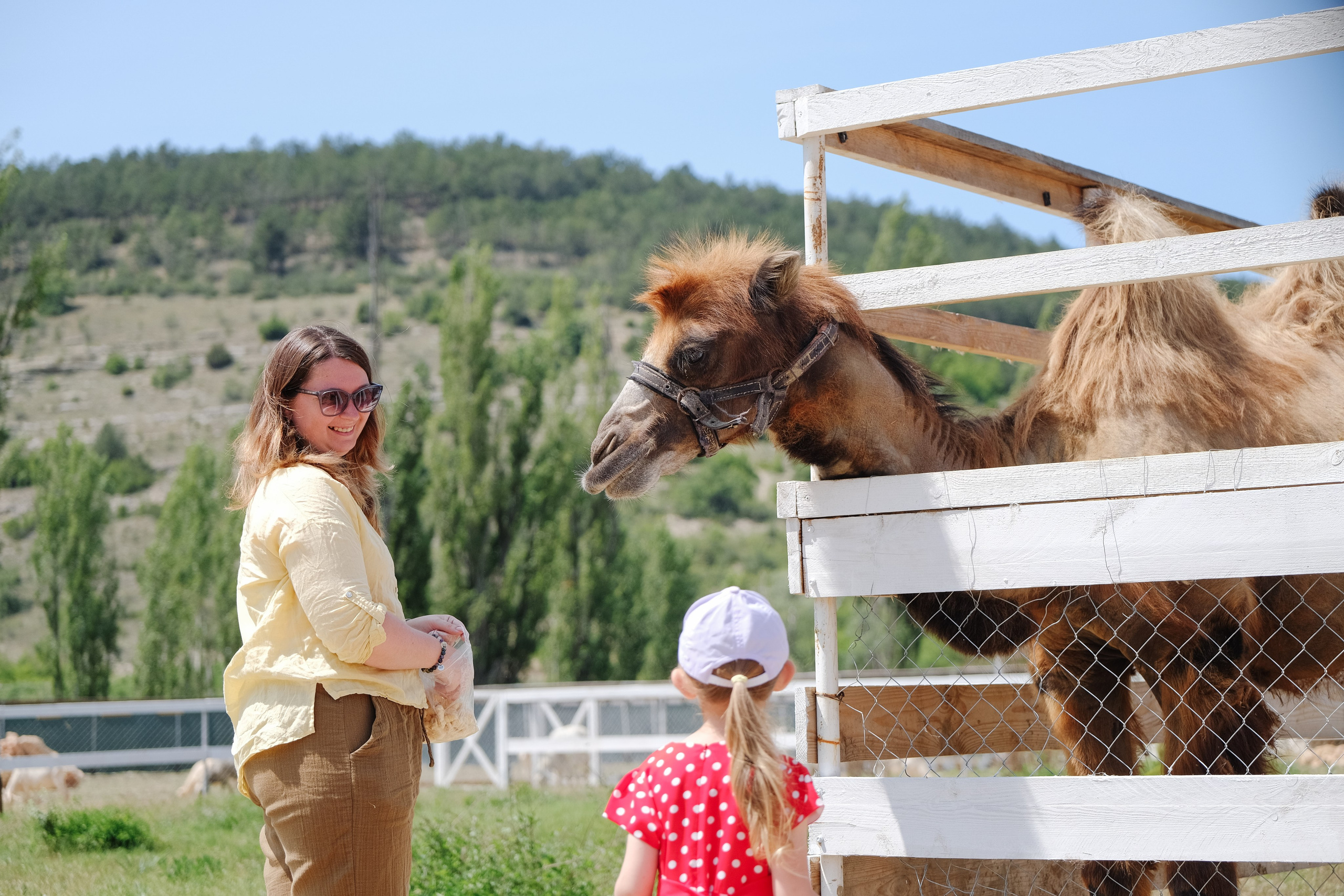 Репортаж на ферме. Профессиональная фотосъемка в Крыму. Натуральные эмоции и живые кадры. Забронируйте дату прямо сейчас!