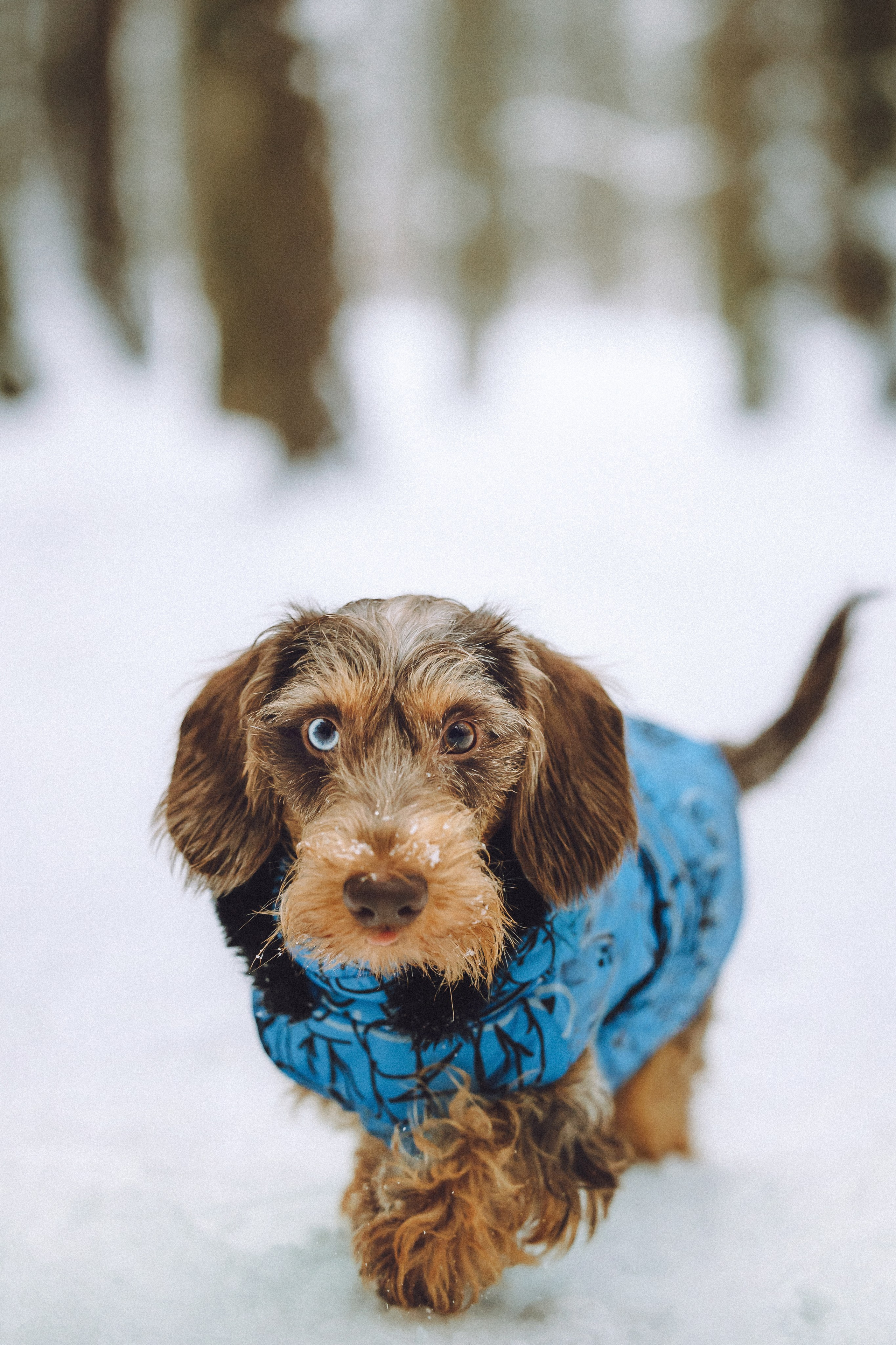 Каспер и его семья
