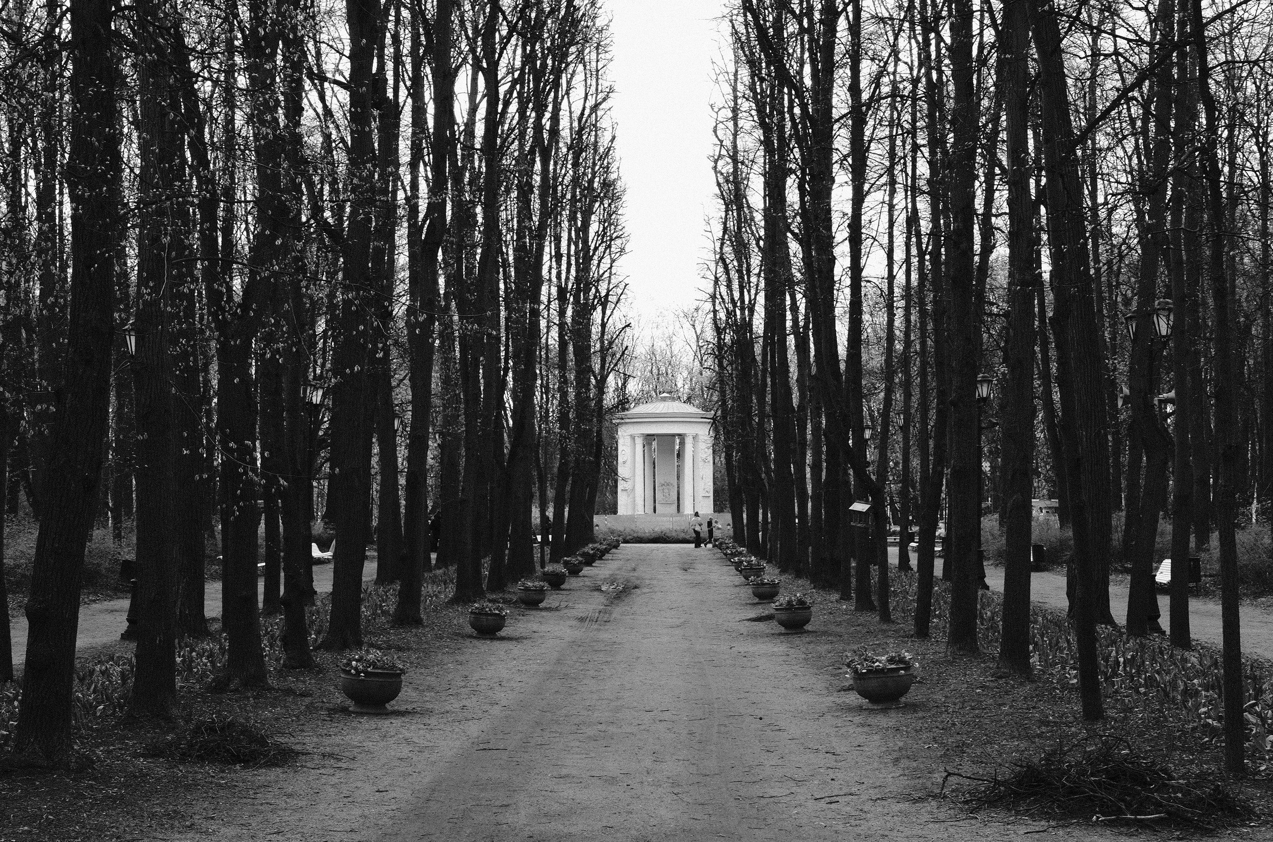 Street. Фотограф Владимир Васенёв
