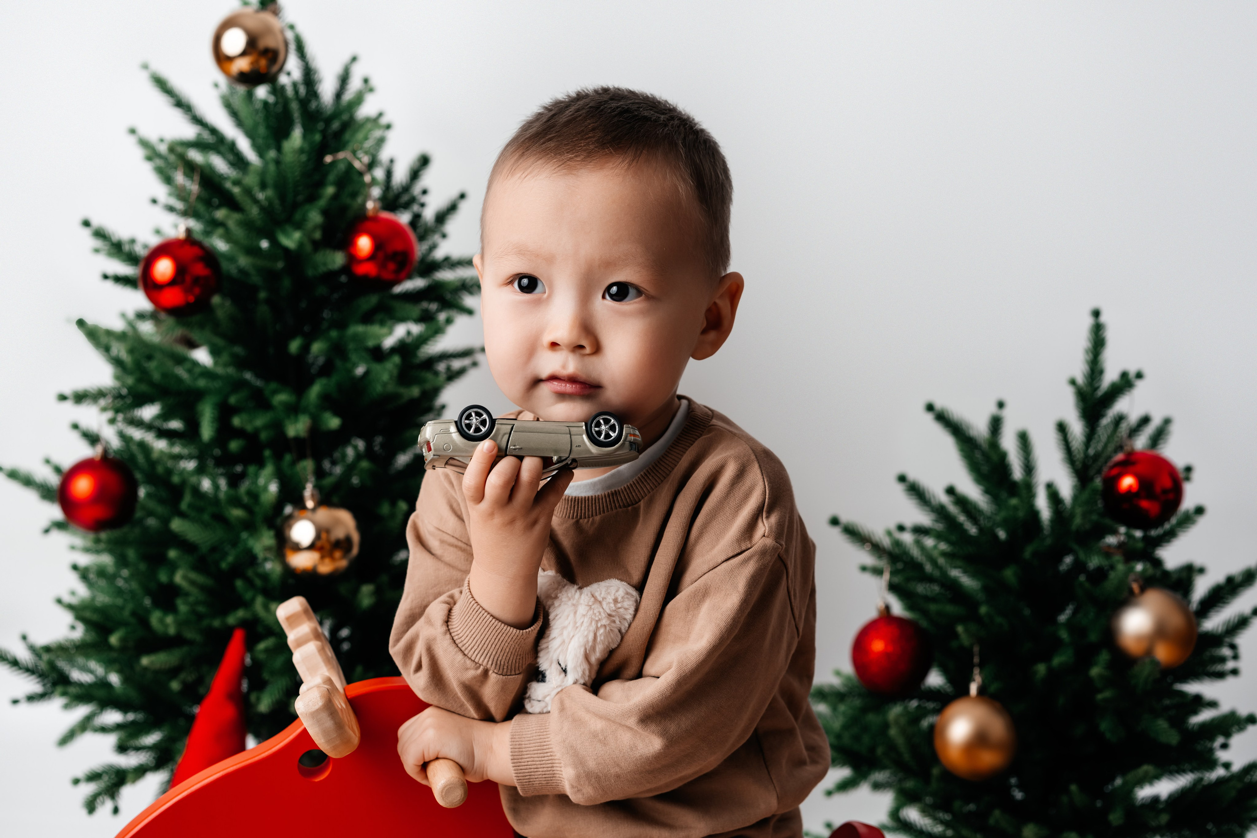 Новый год. Фотограф Александра Василькова