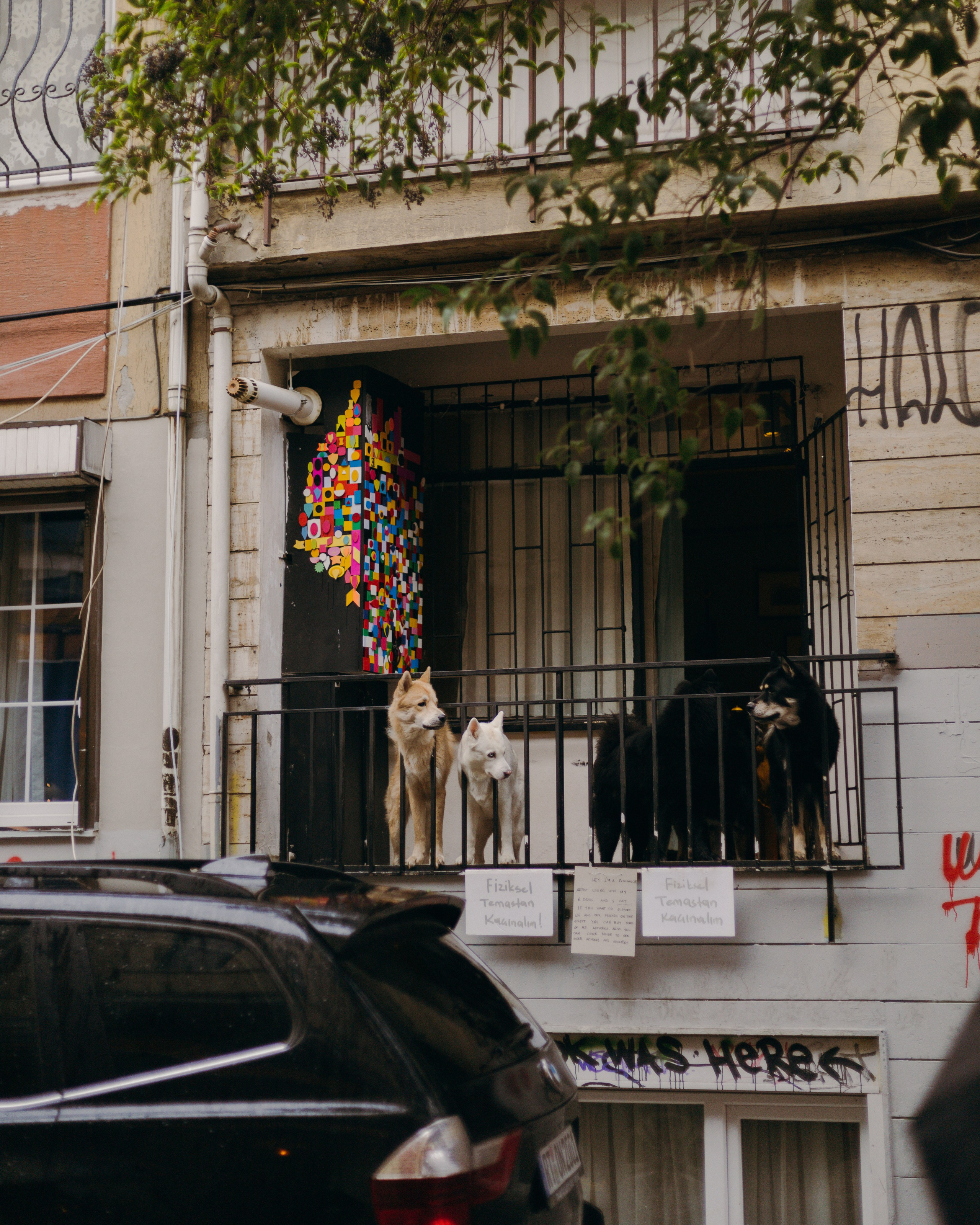 Стамбул. Профессиональный Фотограф во Владимире, в Москве и в Суздале — Полина Романычева