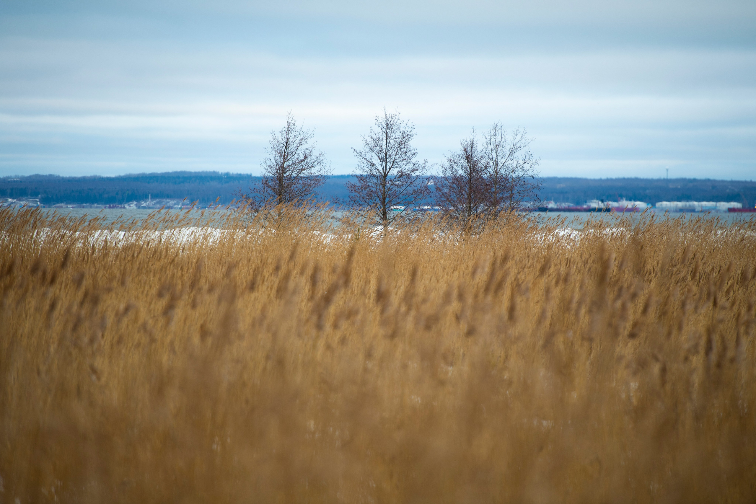 Пейзаж. Документальный фотограф Сергей Вдовин