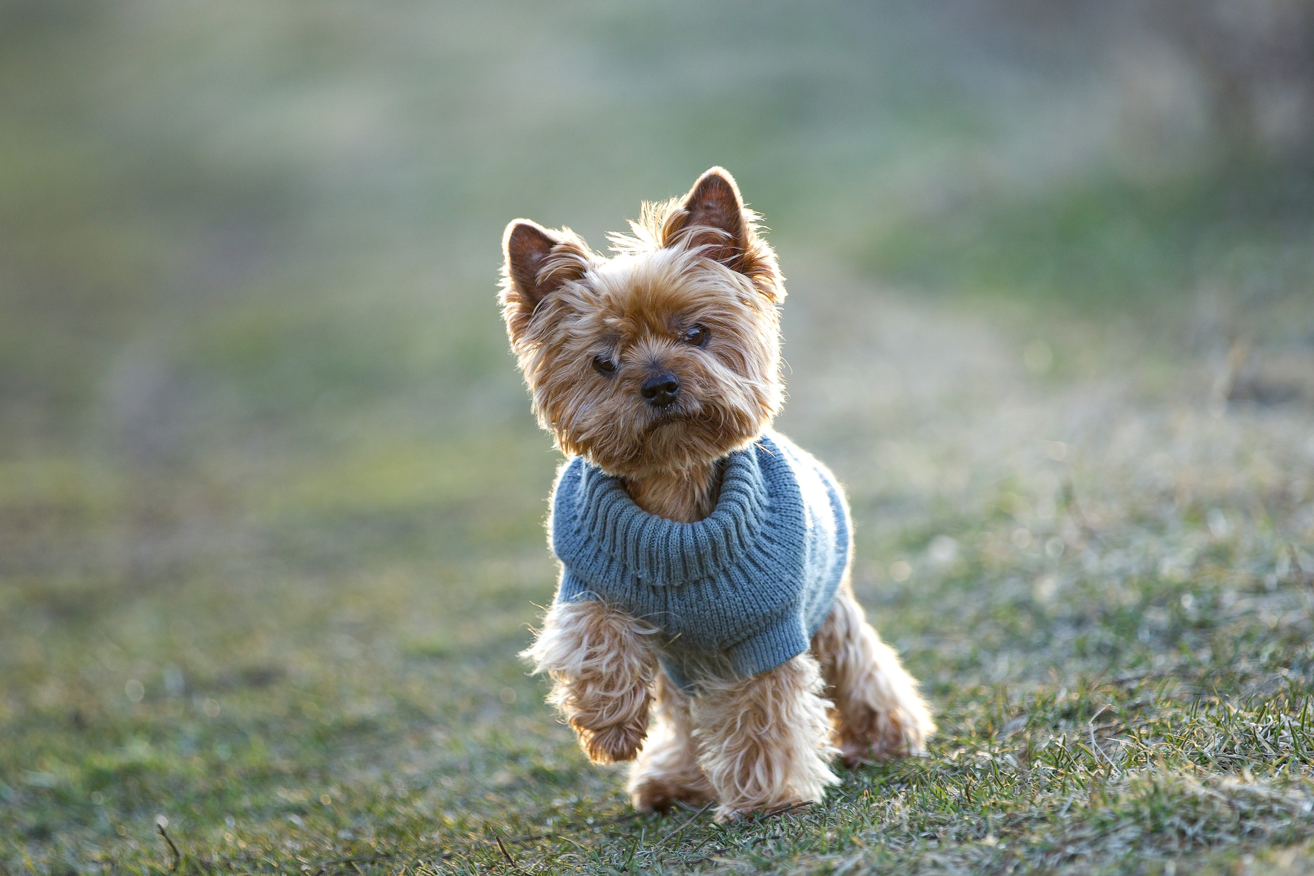 Профессиональный фотограф в Москве  Елена Фатьянова