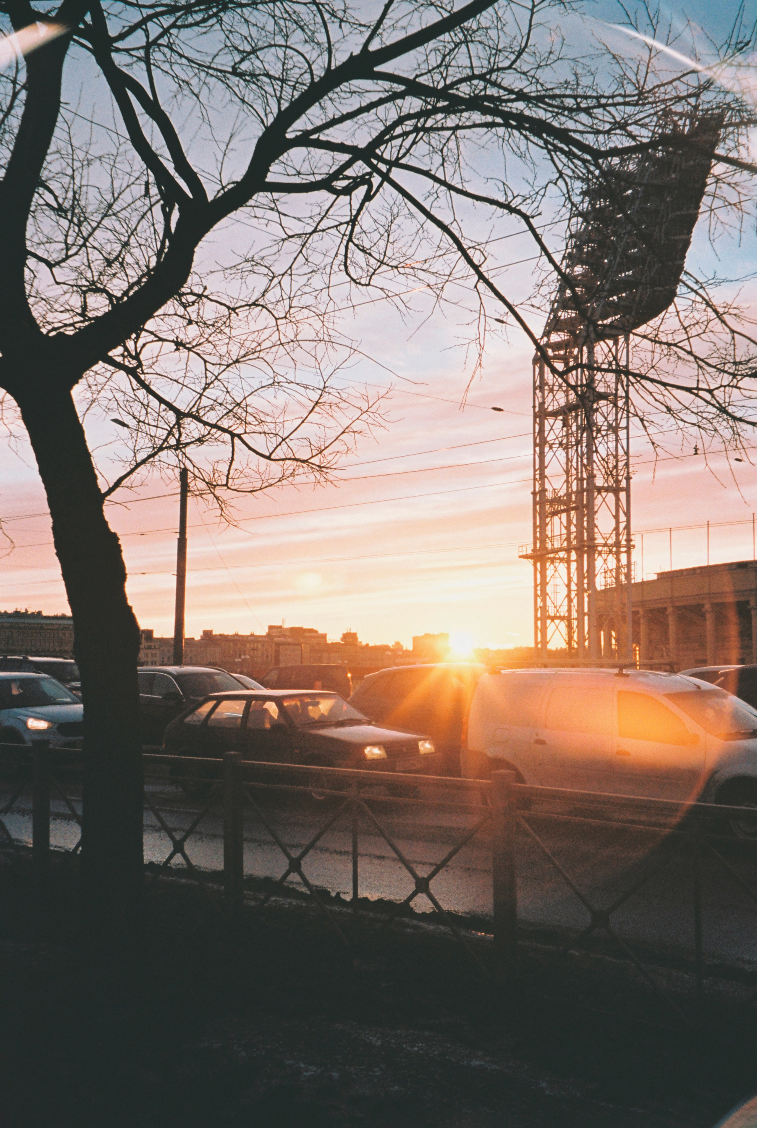 Фотографии цветные. Свадебный и семейный пленочный фотограф в Петербурге Истомина Ирина