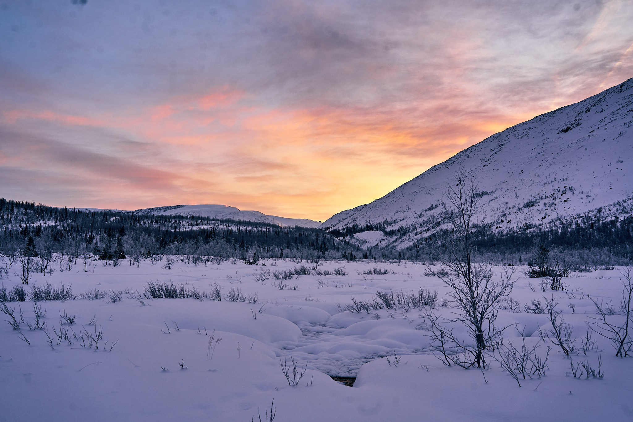 Путешествие В Арктику в 2024 году. Внедорожные путешествия — OFFROADTRIP