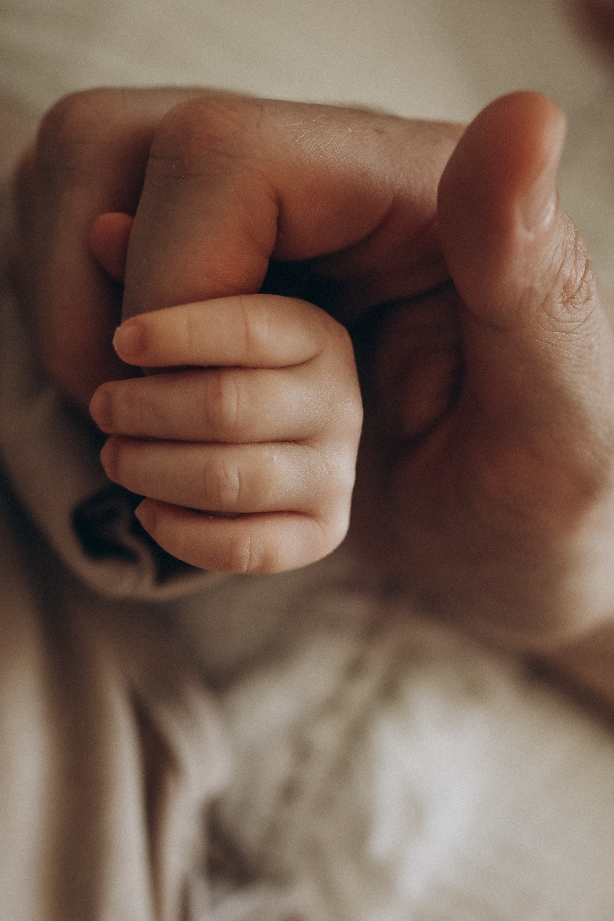 Семейные. Семейный фотограф и фотограф новорожденных в Санкт-Петербурге Алевтина