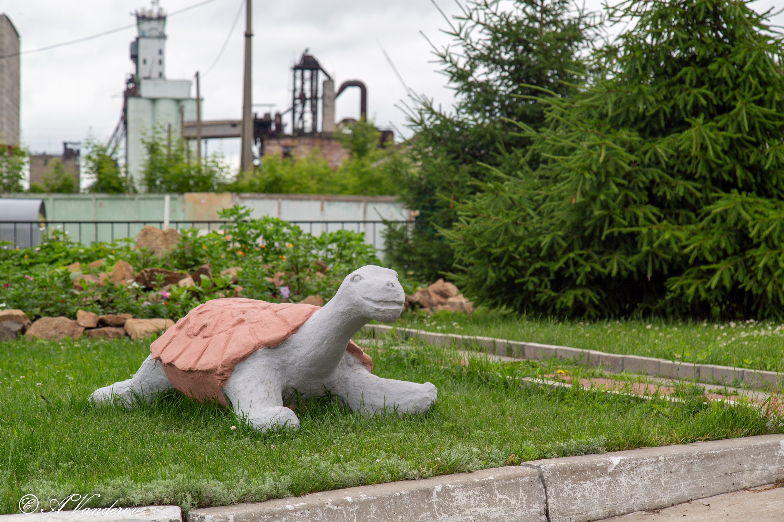 Калачинск 07.07.2024. Фотограф Омск | Александр Вандеров