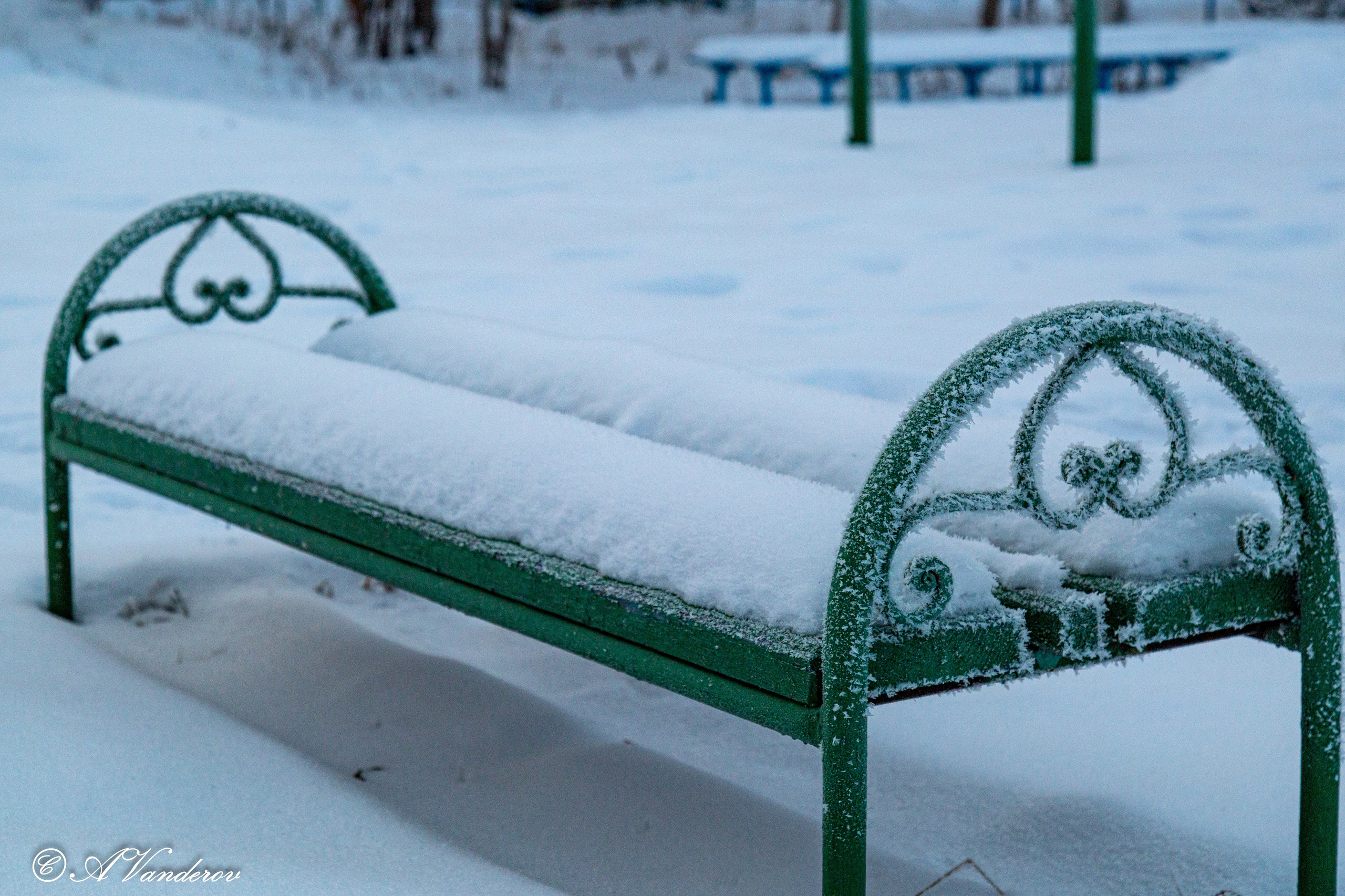 Красота природы. Фотограф Омск | Александр Вандеров