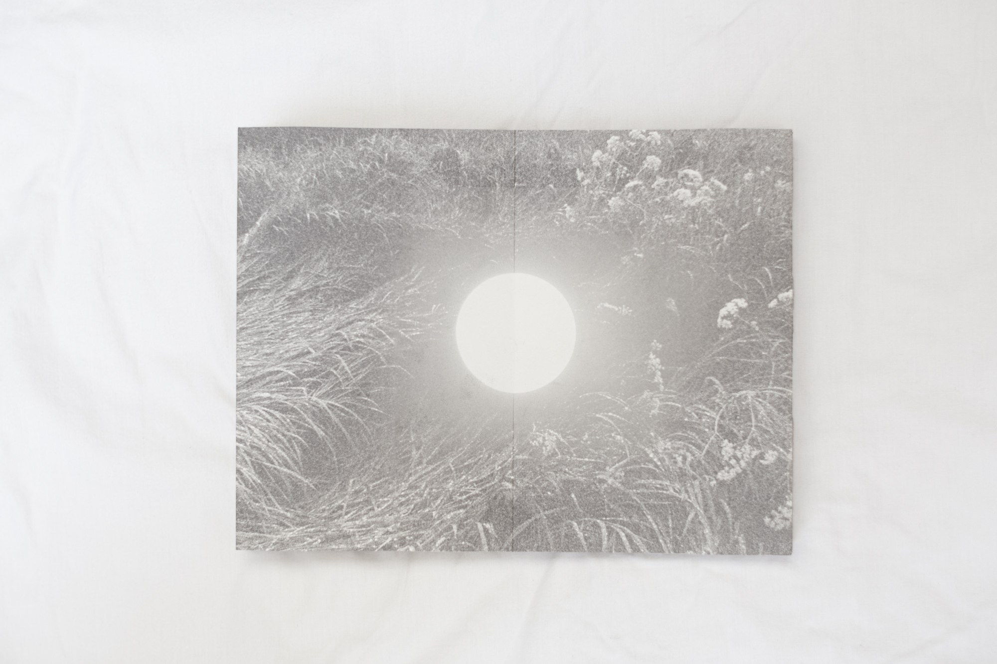 Ultima Thule. Ася Бобрицкая — мультидисциплинарый художник