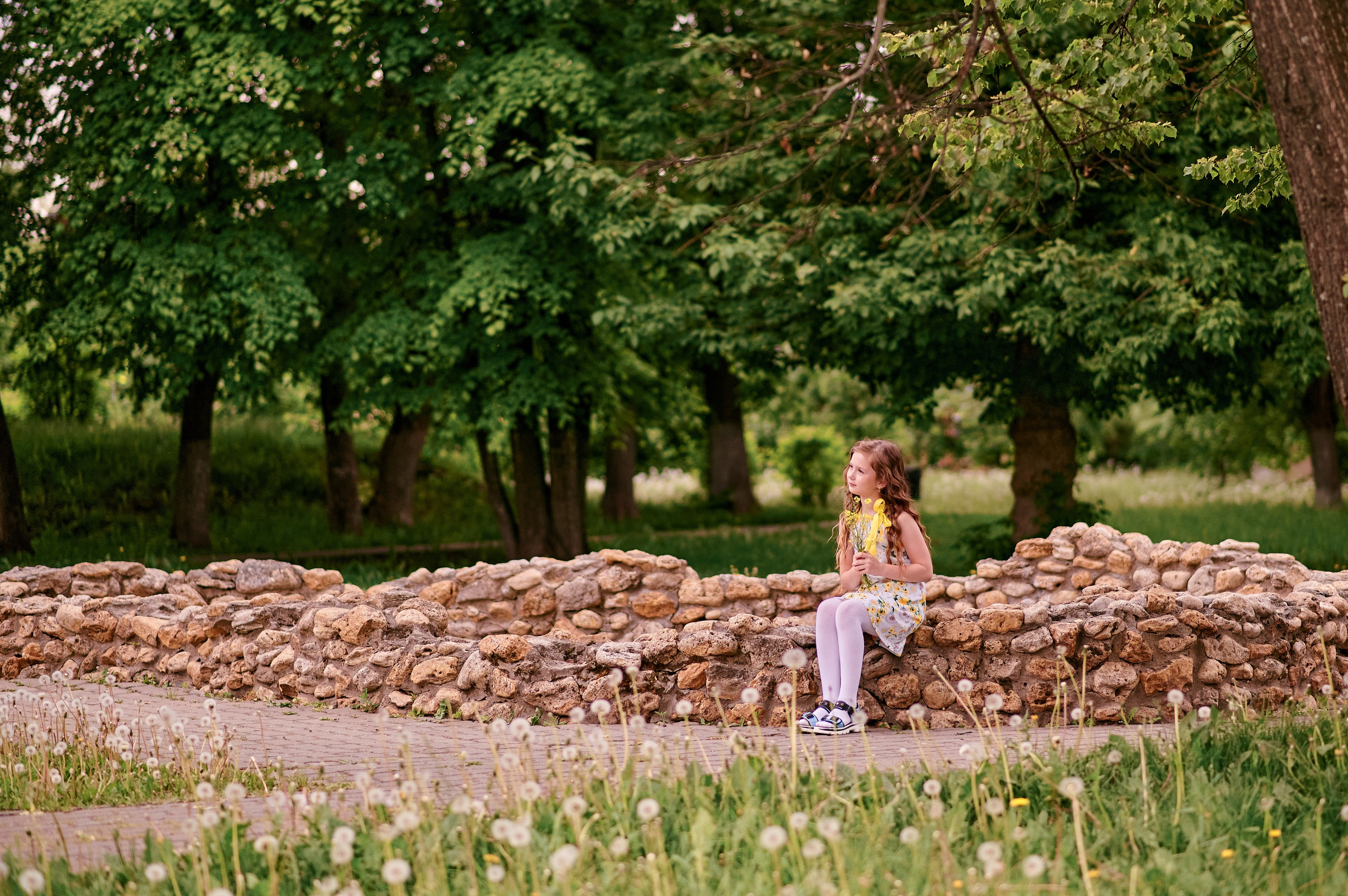 Одуванчики. Семейный и детский фотограф в г. Ногинске Ангелина Хасанова
