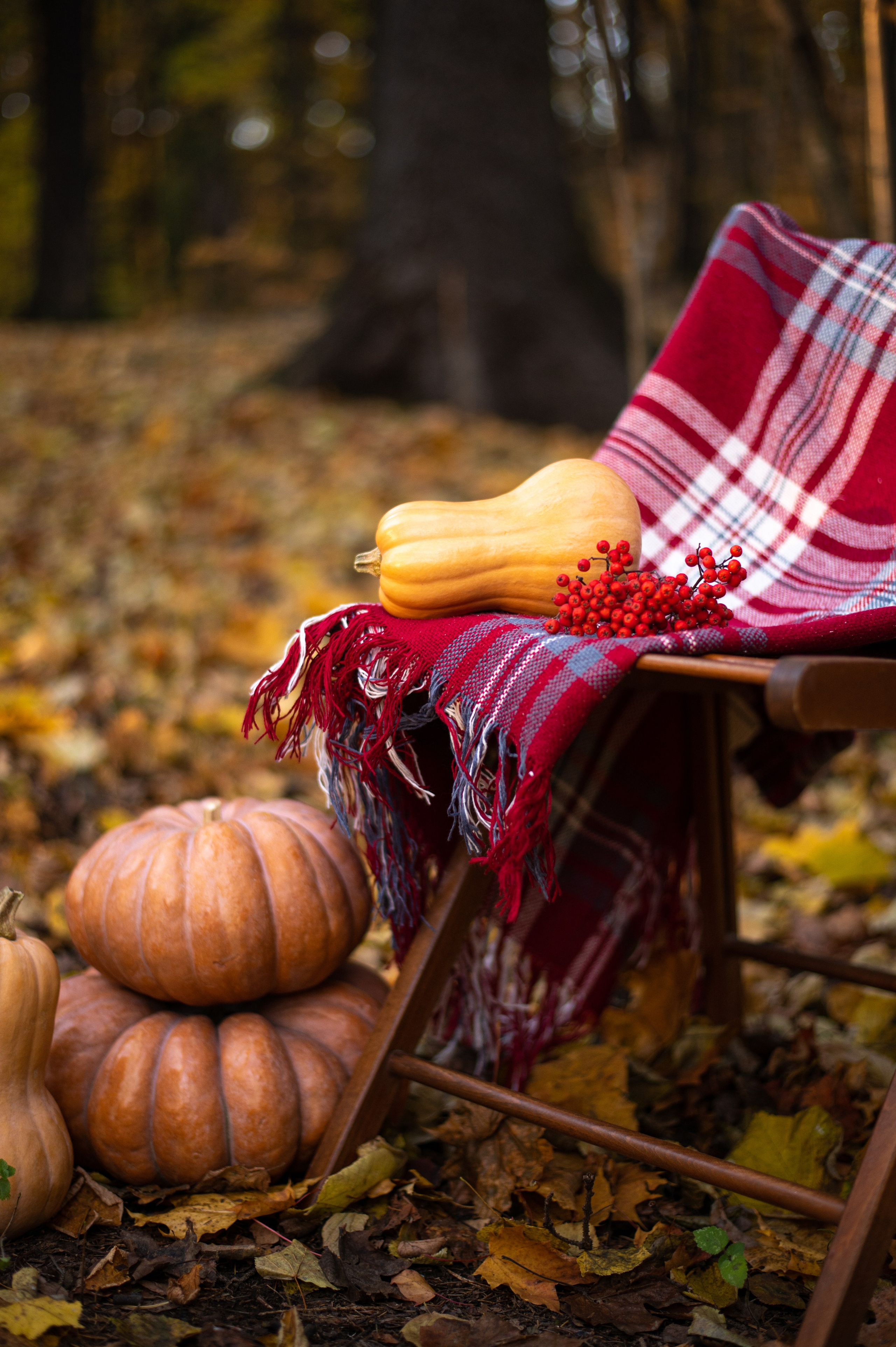 Осень в Шуваловском парке. Фотограф Санкт-Петербург | Дарья Першина