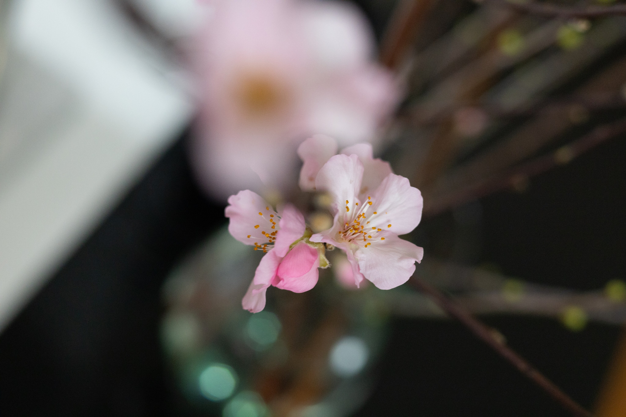 Clarity. ITMAG.ME | Visual Art