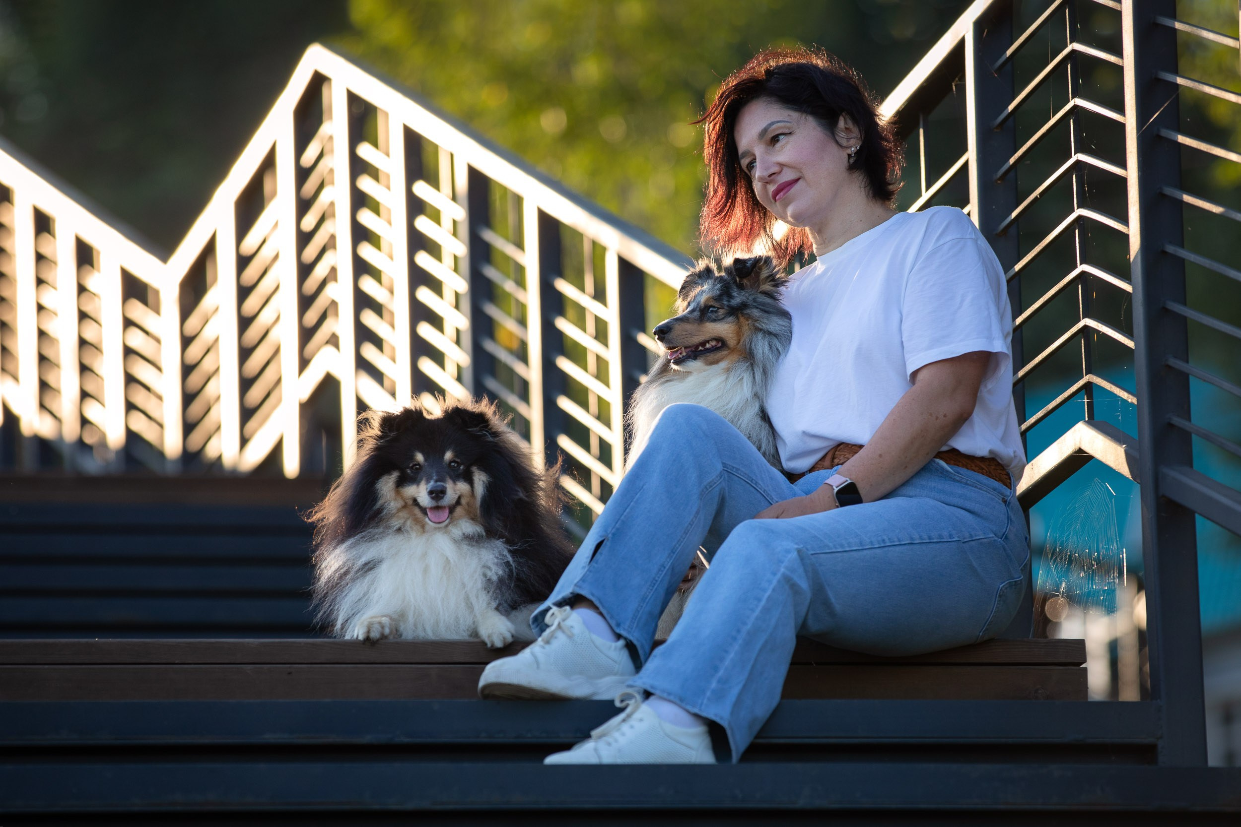 Съемка с шелти на рассвете на песчаном карьере. Фотограф-анималист в Москве и Московской области Татьяна Фролова