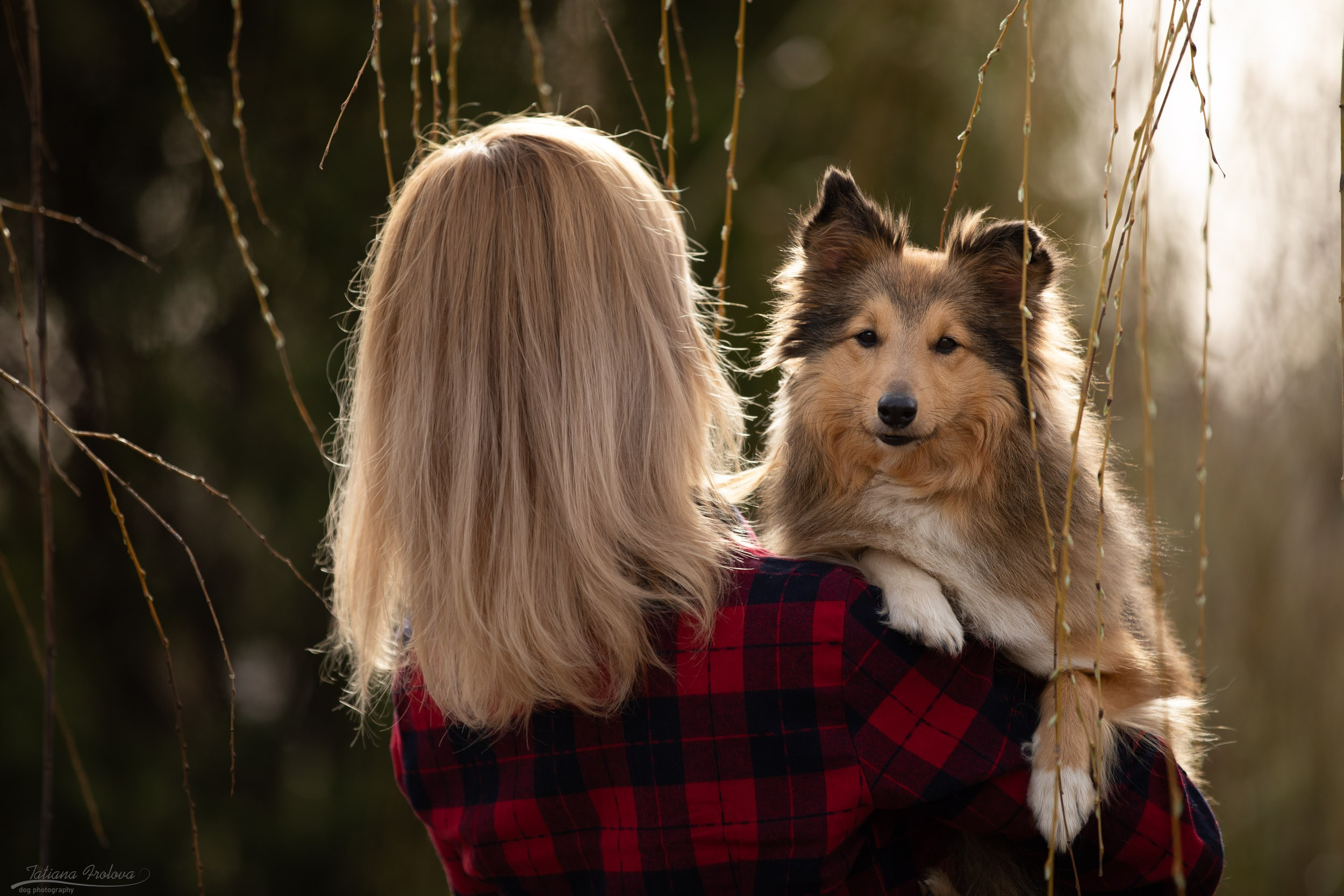 Фотопрогулка для шелти и её хозяйки в Ботаническом саду. Фотограф-анималист в Москве и Московской области Татьяна Фролова