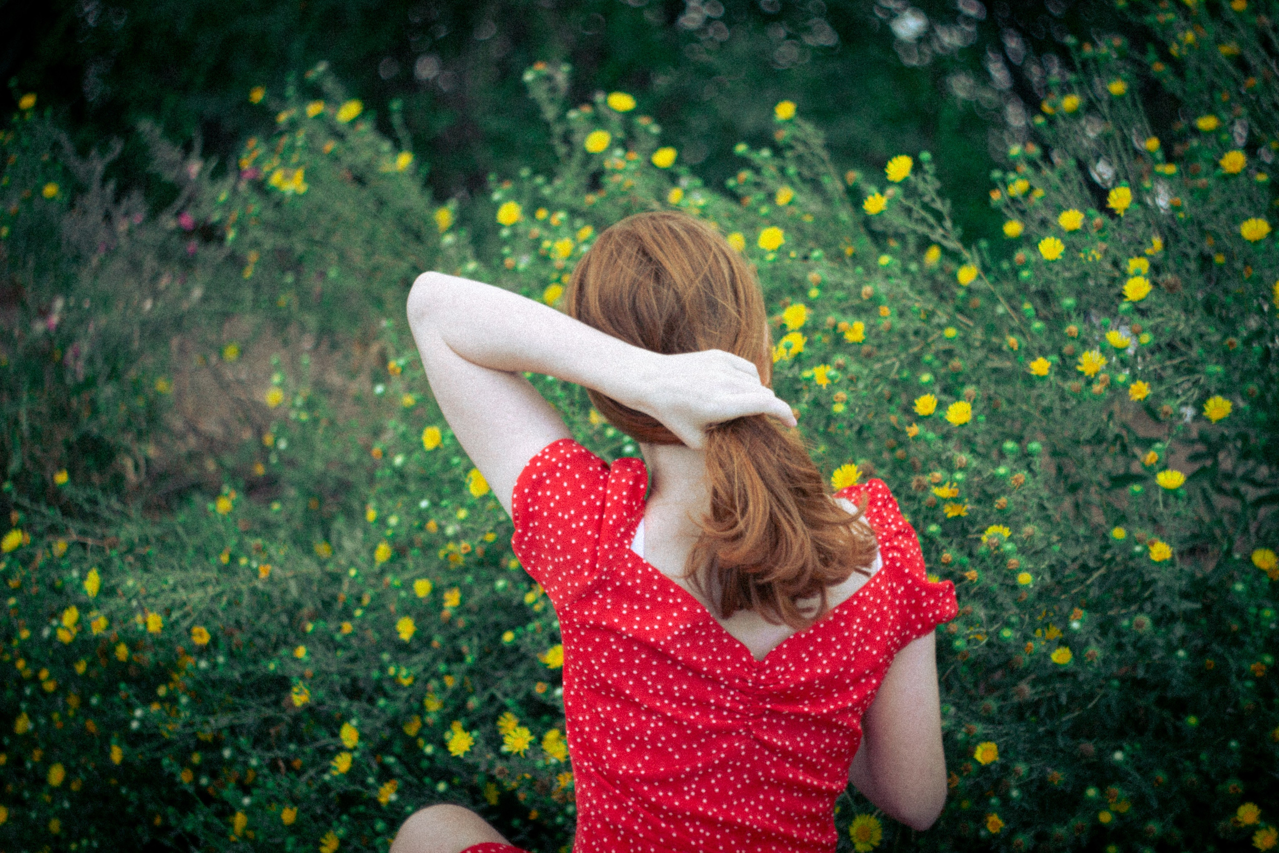 • Фотограф Александра Светозар Алчевск •