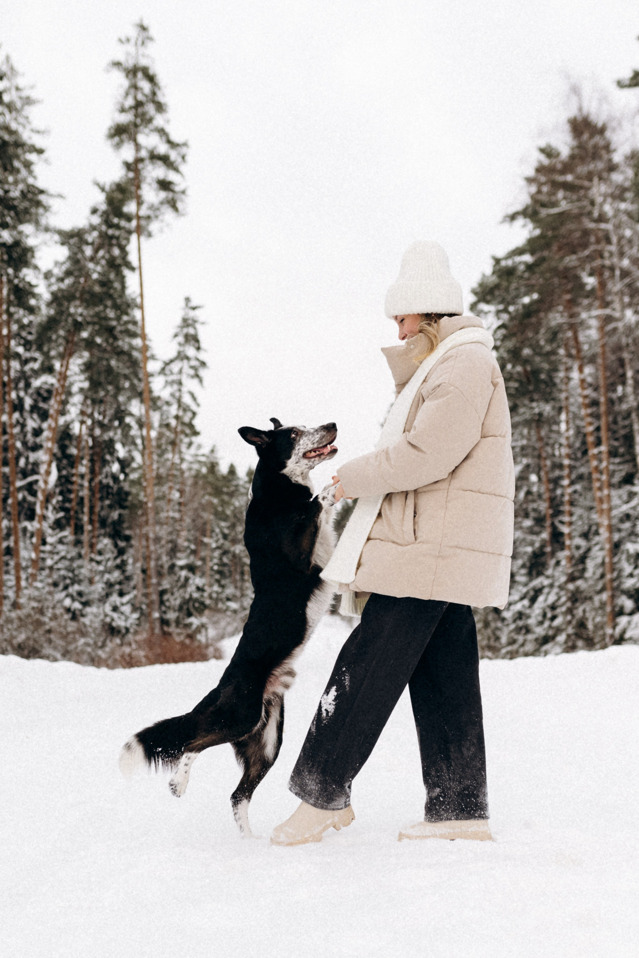 Аня и Милан. Фотограф анималист в Москве Ольга Агушева
