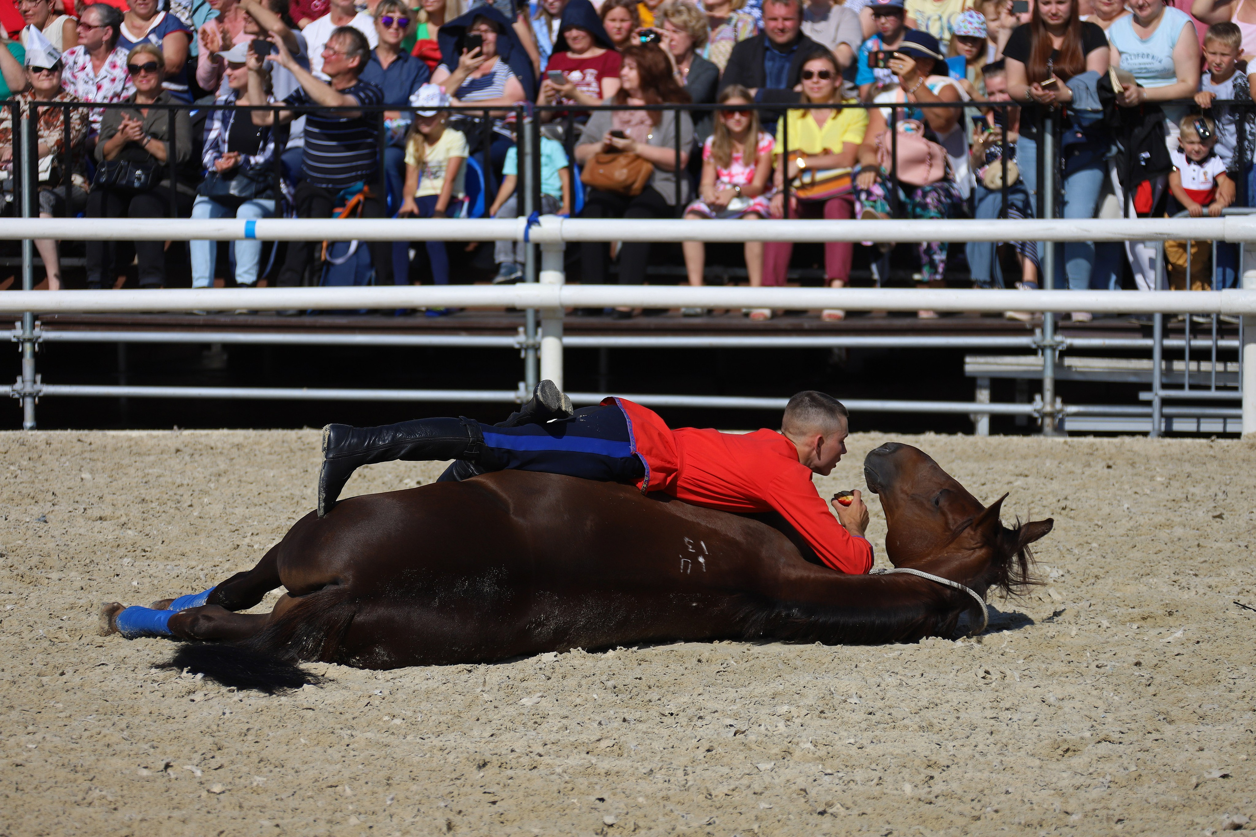 Военно-музыкальный фестиваль «Спасская башня». Фотограф в Москве | Синицына Тамара