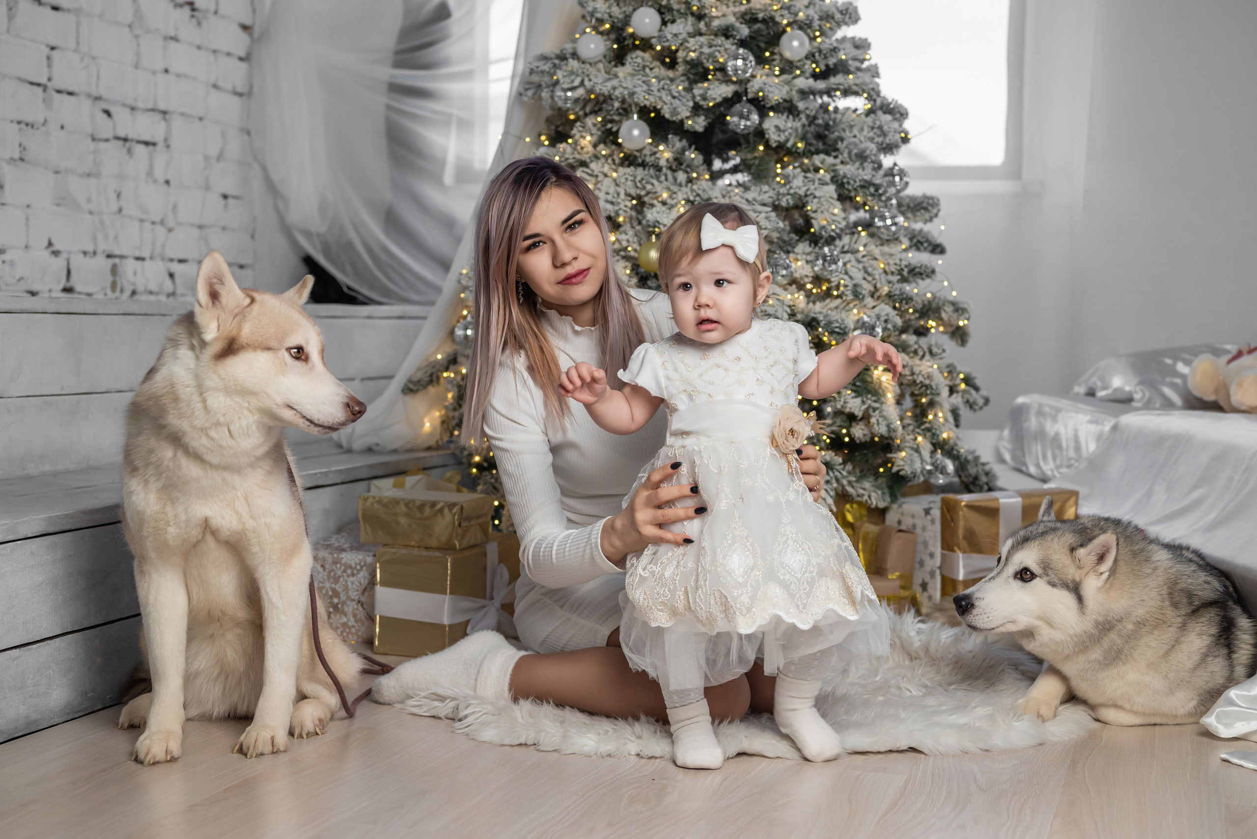 Фотопроект с хаски. Фотограф в городе Салават