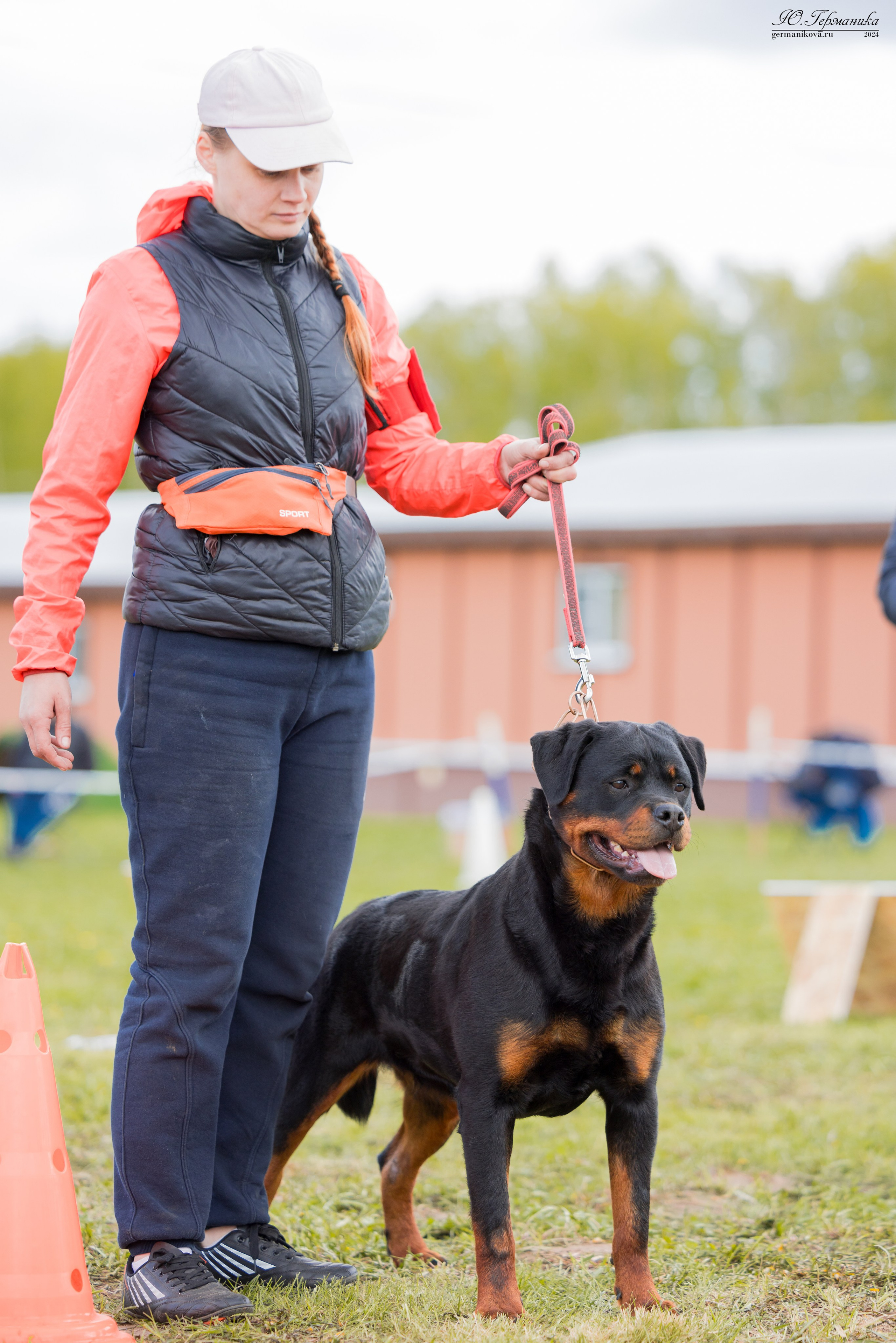 Нижний Новгород 11-12.05.2024 моно ротвейлеров. Фотограф-анималист Юлия Германика