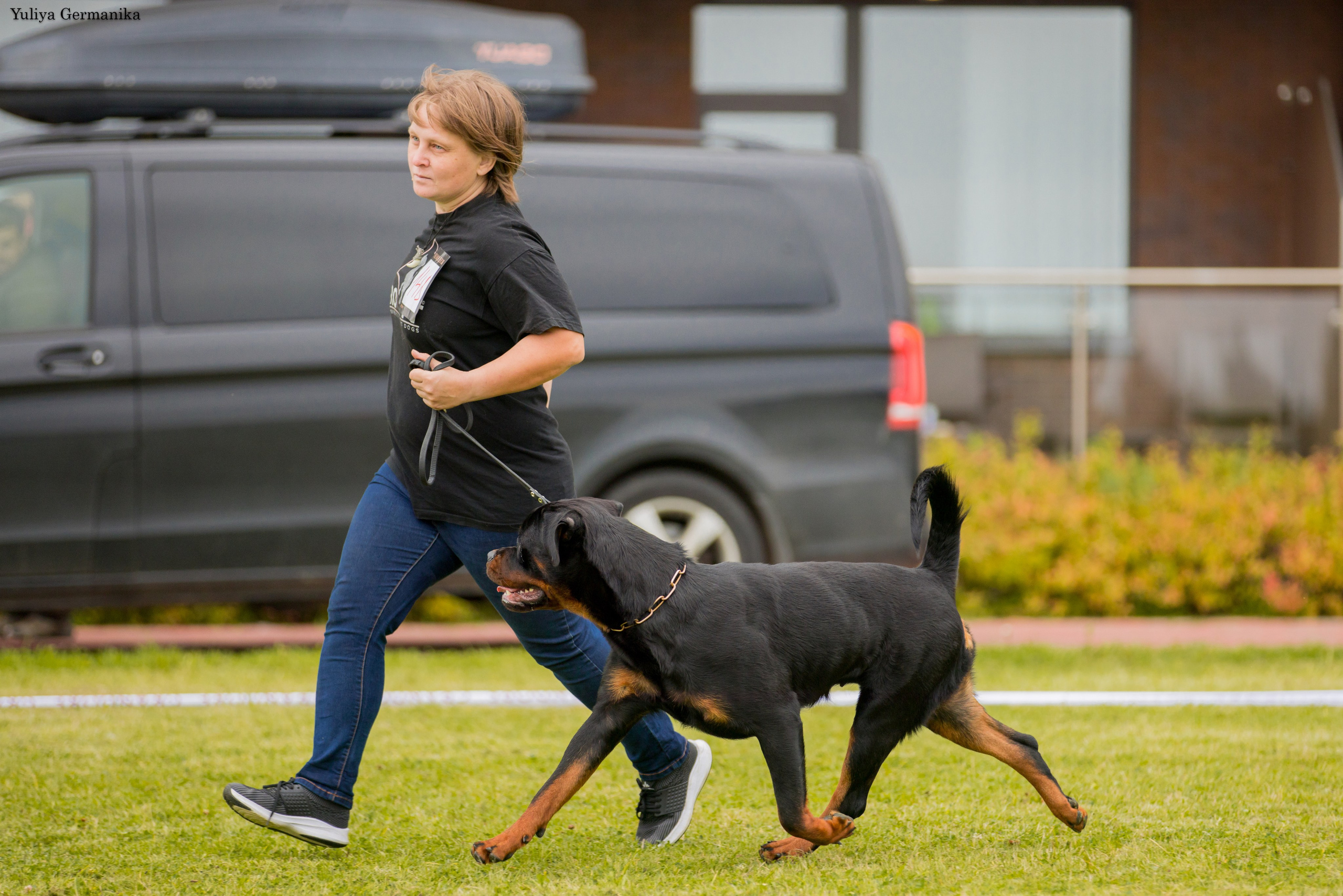 Переславль 9-10.09.2023. Фотограф-анималист Юлия Германика