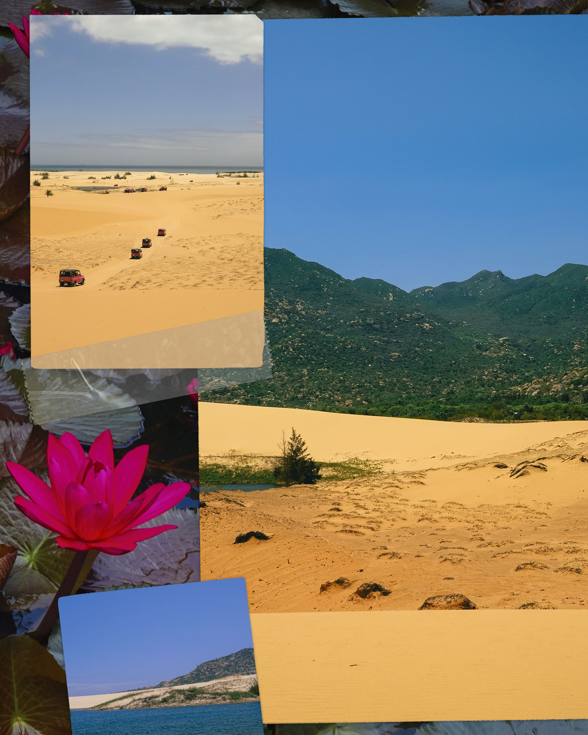 Вьетнам. Фотограф Алиса Аспер