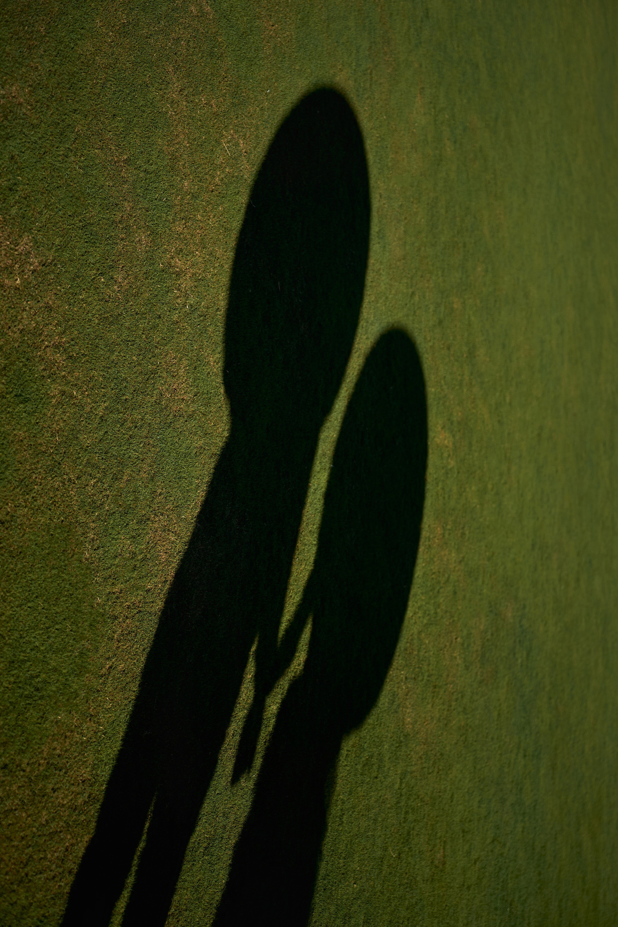 ПОРТФОЛИО TWINS STUDIO. ТВИНС СТУДИО — лучшие свадебные фотографы и видеографы в Краснодаре