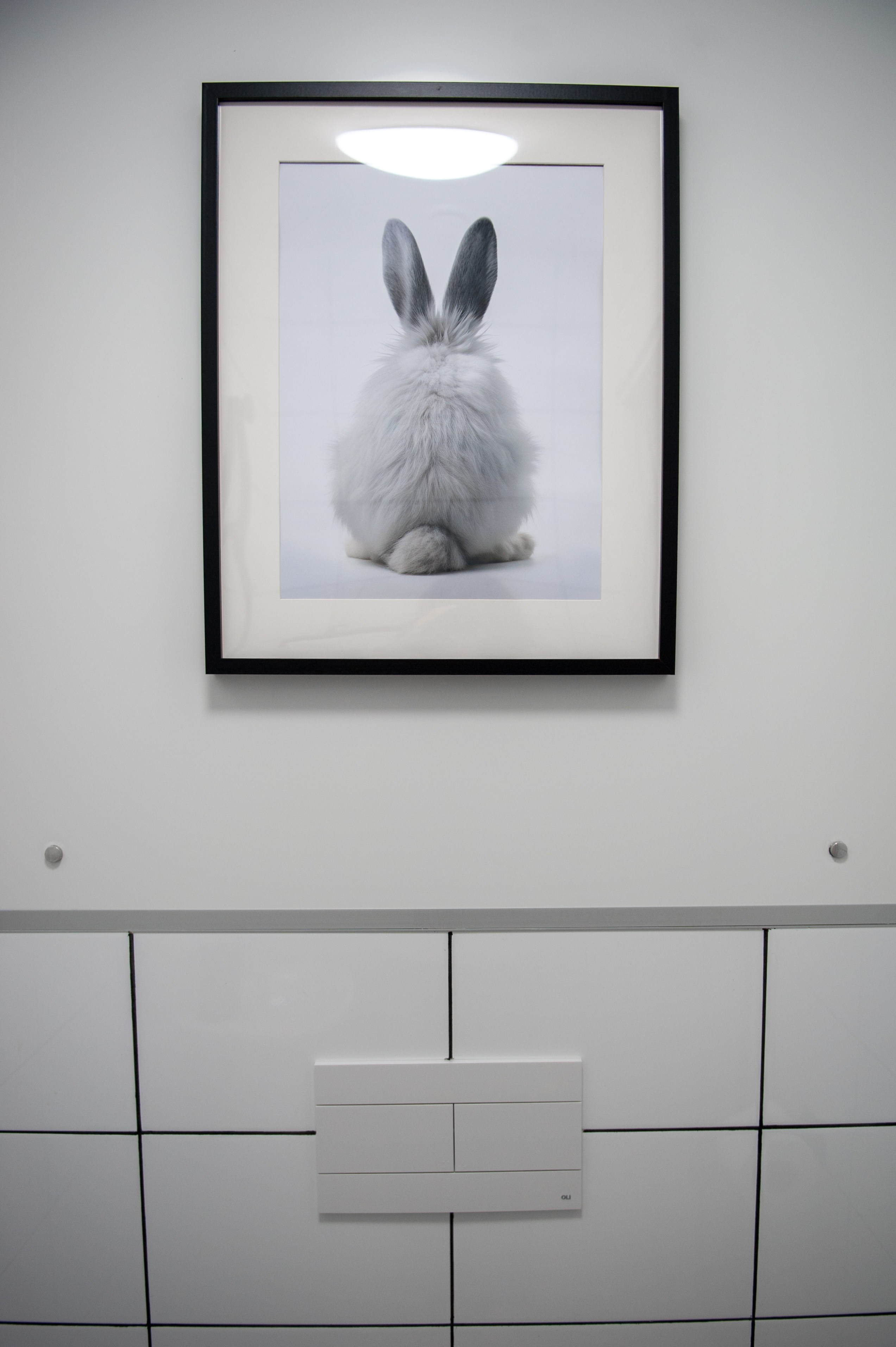 Фотограф дома на продажу Чехов. Выпускной альбом Чехов, Подольск, Москва