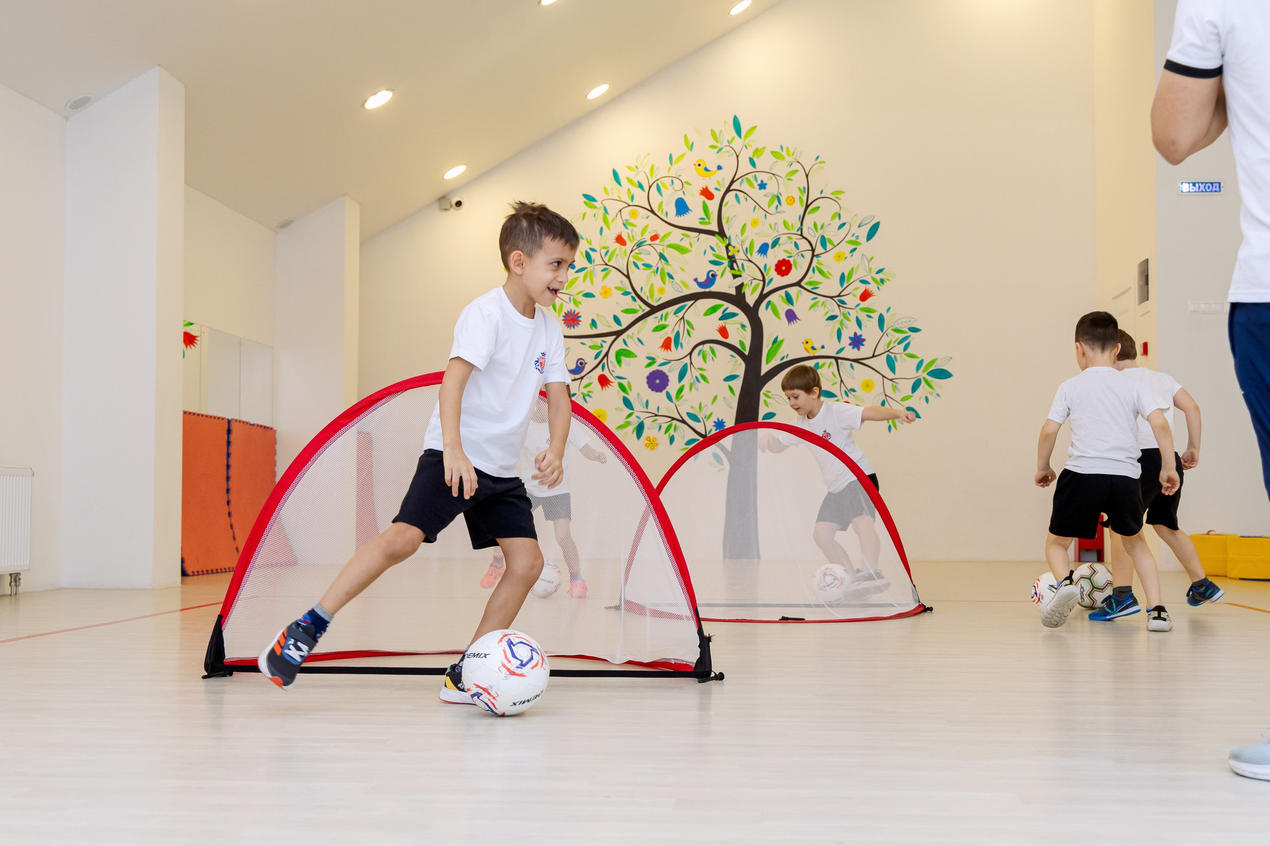 Школа и сад