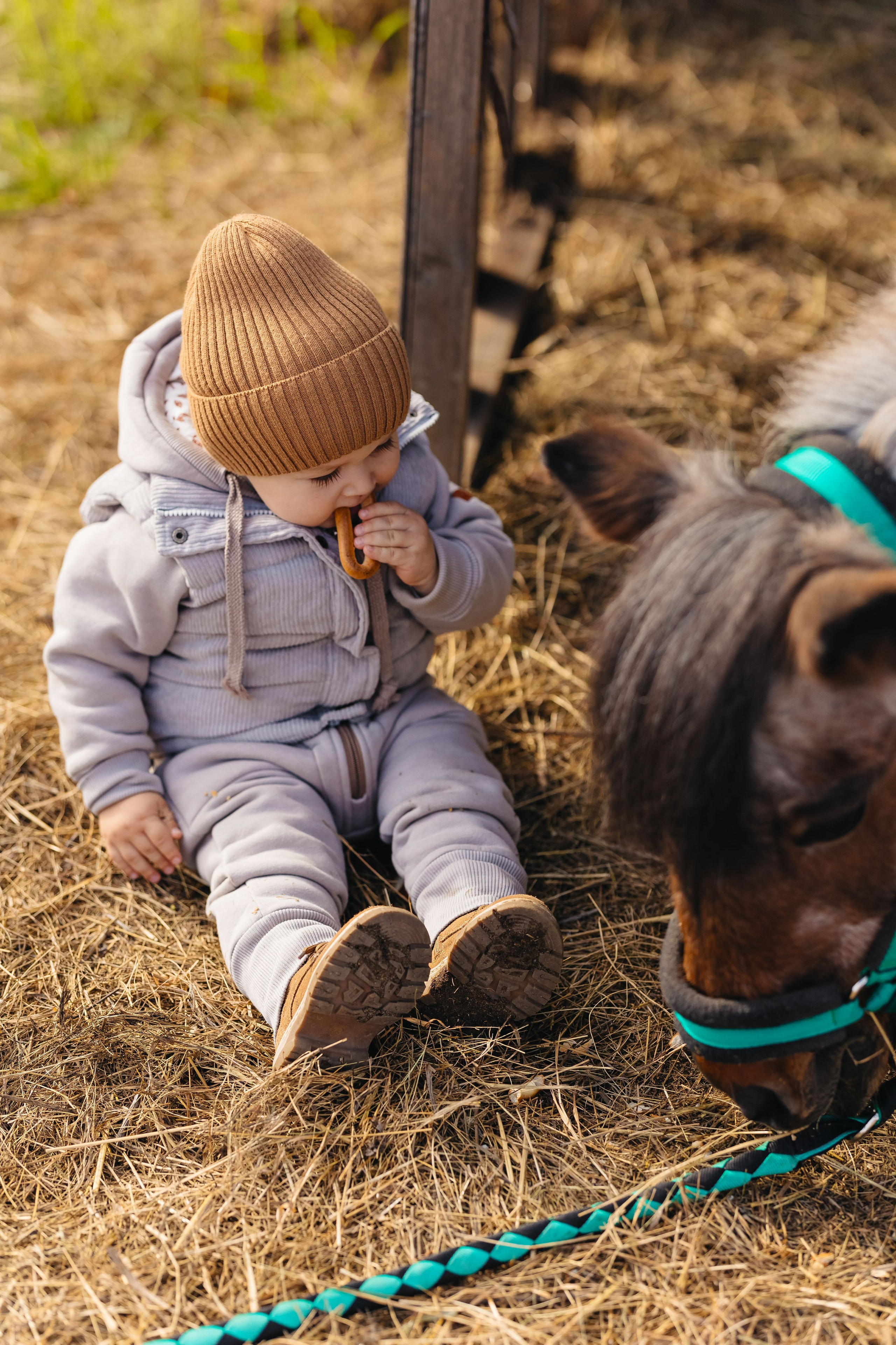 2024.10.02 Илья и лошадка. Ирина Бешляга. Фотограф в Москве и по всей России