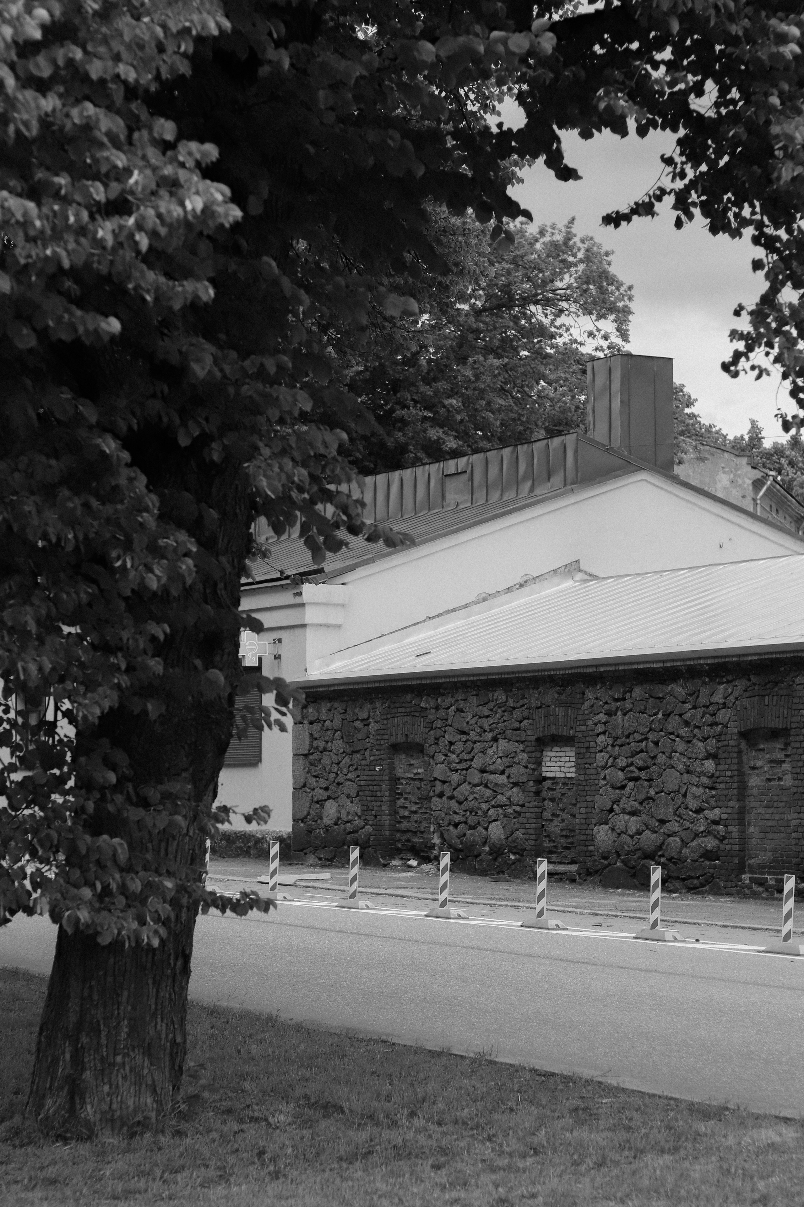 Contour. Фотограф и исследователь фотографии из Санкт-Петербурга Елизавета Веприцкая