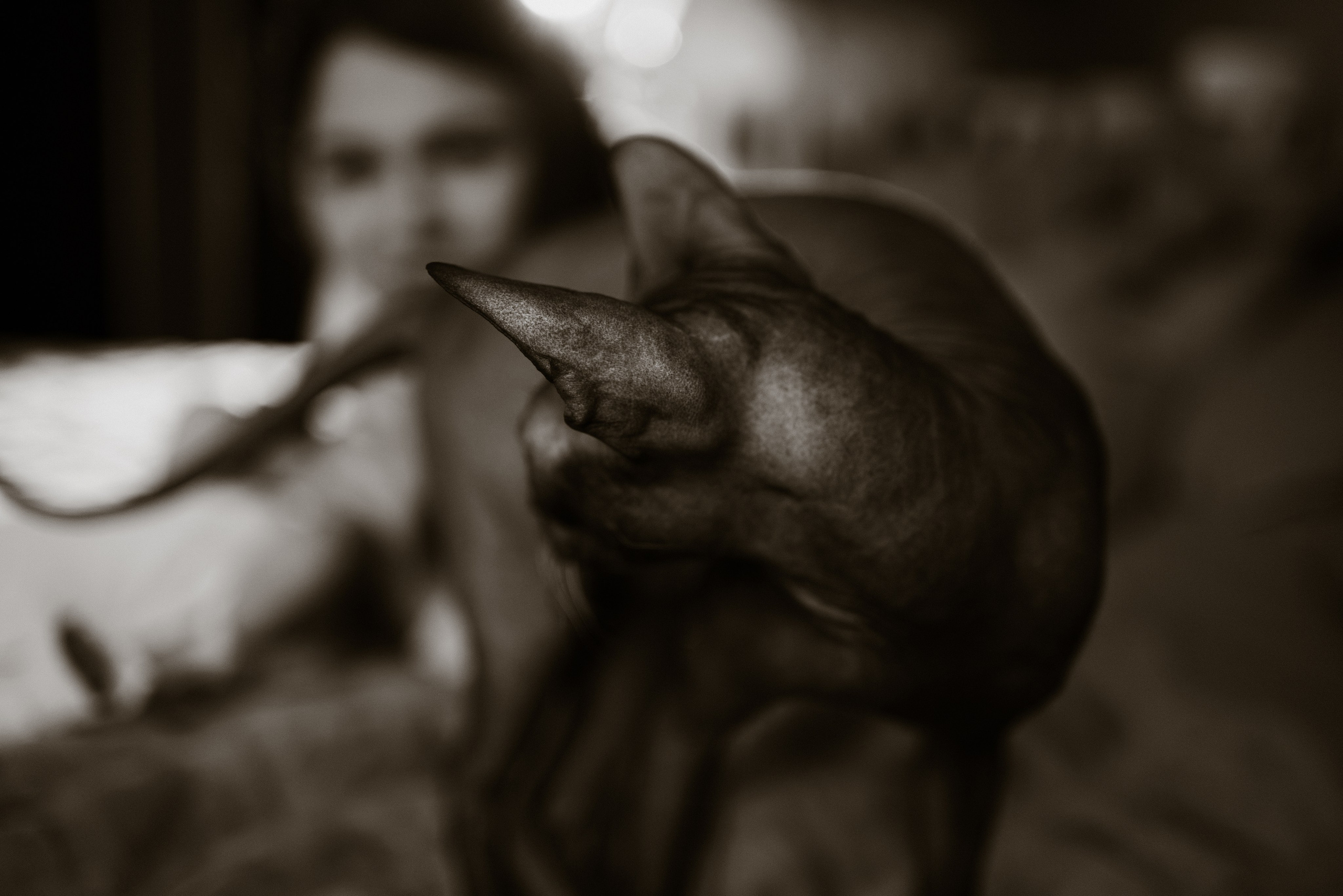 Настя, Максим и Амелия. Фотограф в Минске — Мария Миллс