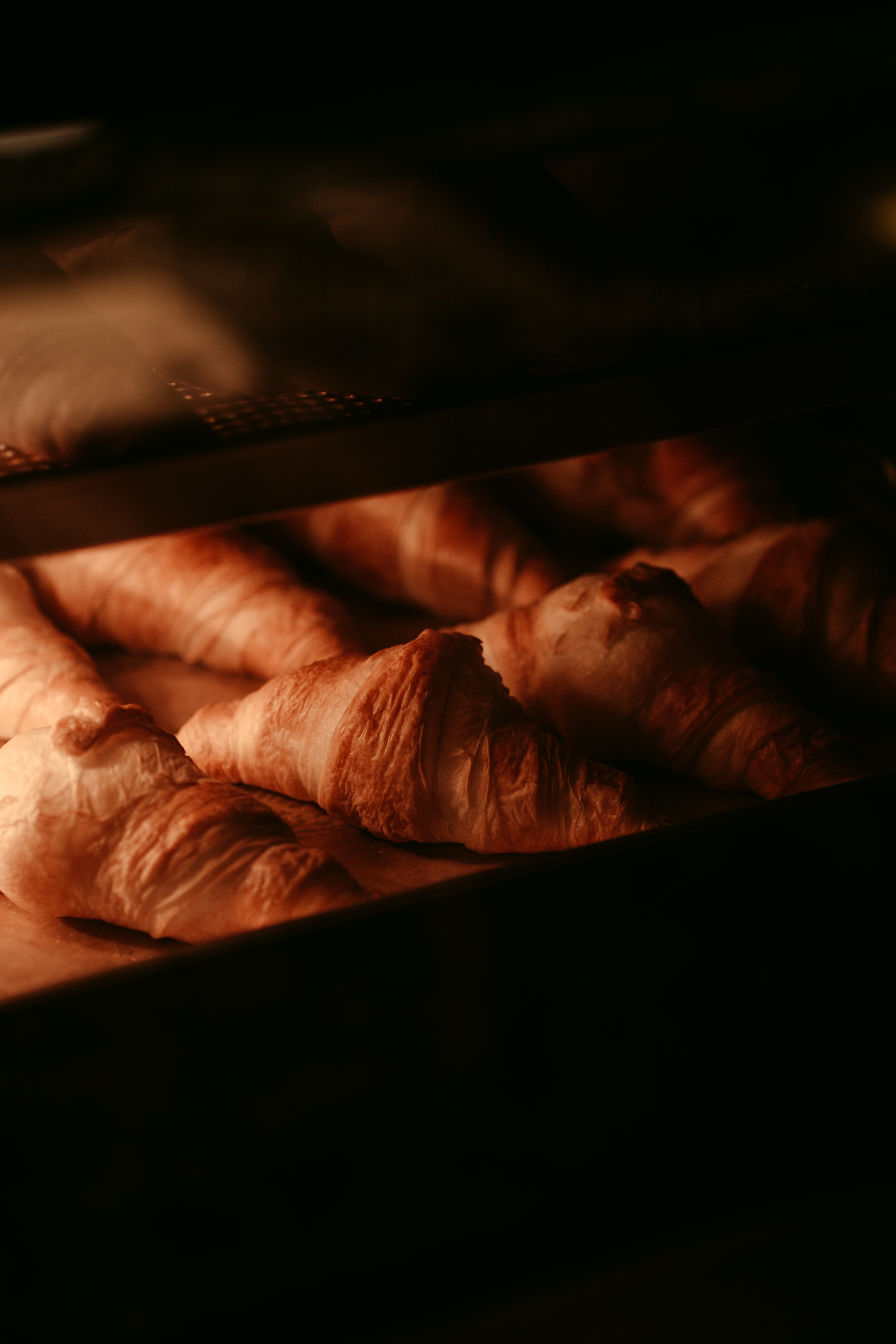 V-Zug: презентация премиум-техники / 2024. Саша Копылов, фотограф в Казани