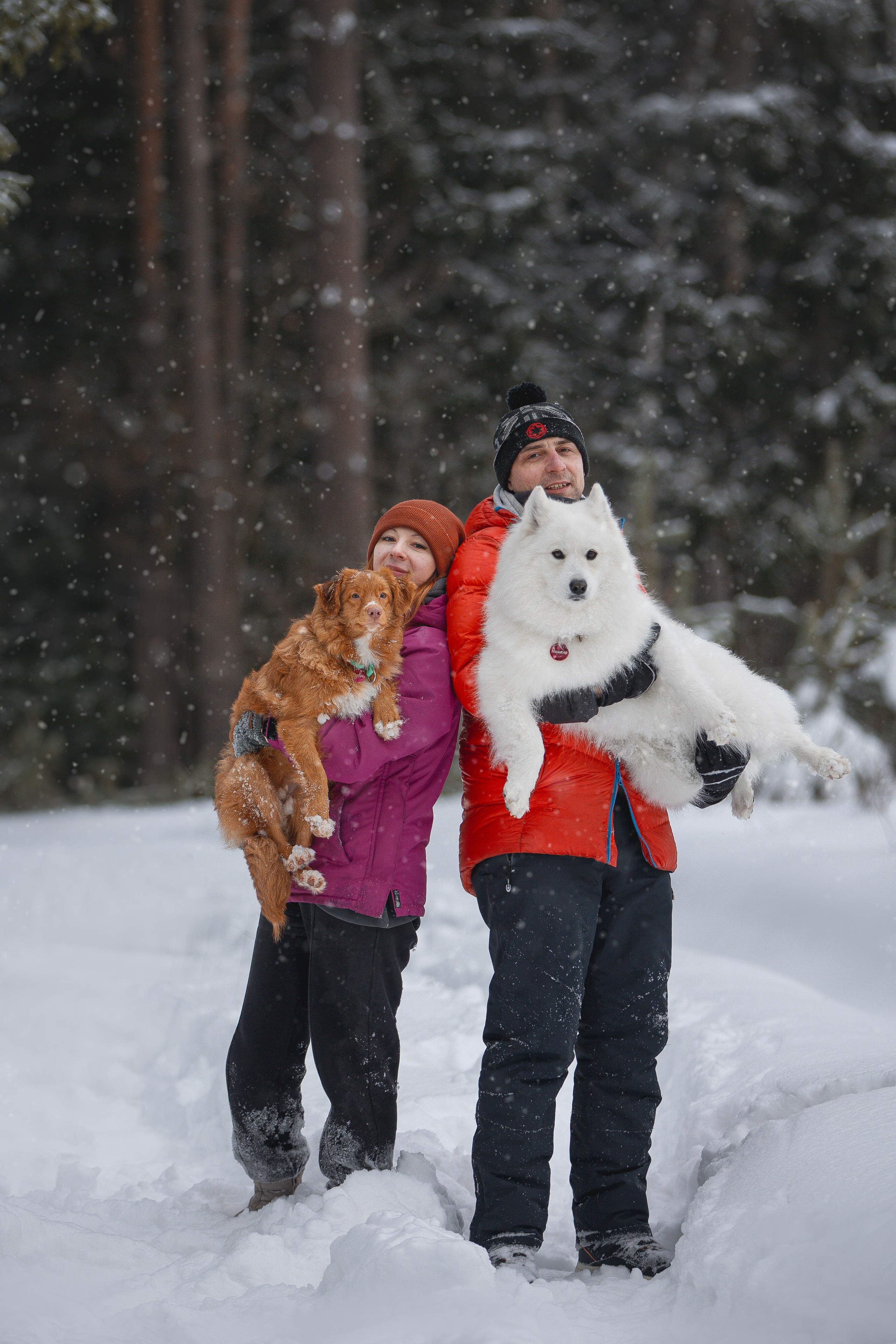 Руби, Николь, Кирилл и Мила. Фотограф анималист в Москве Майорова Евгения