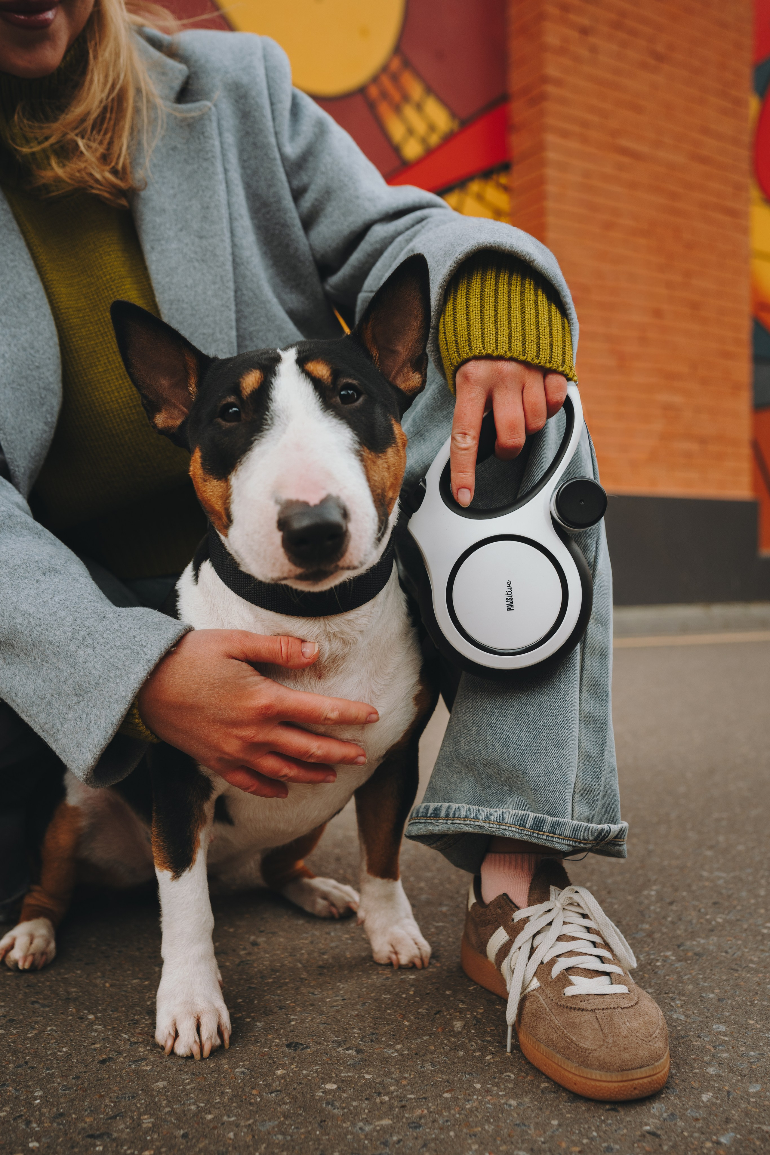 Pawsitive. Семейный фотограф анималист Ананьева Мария — Москва