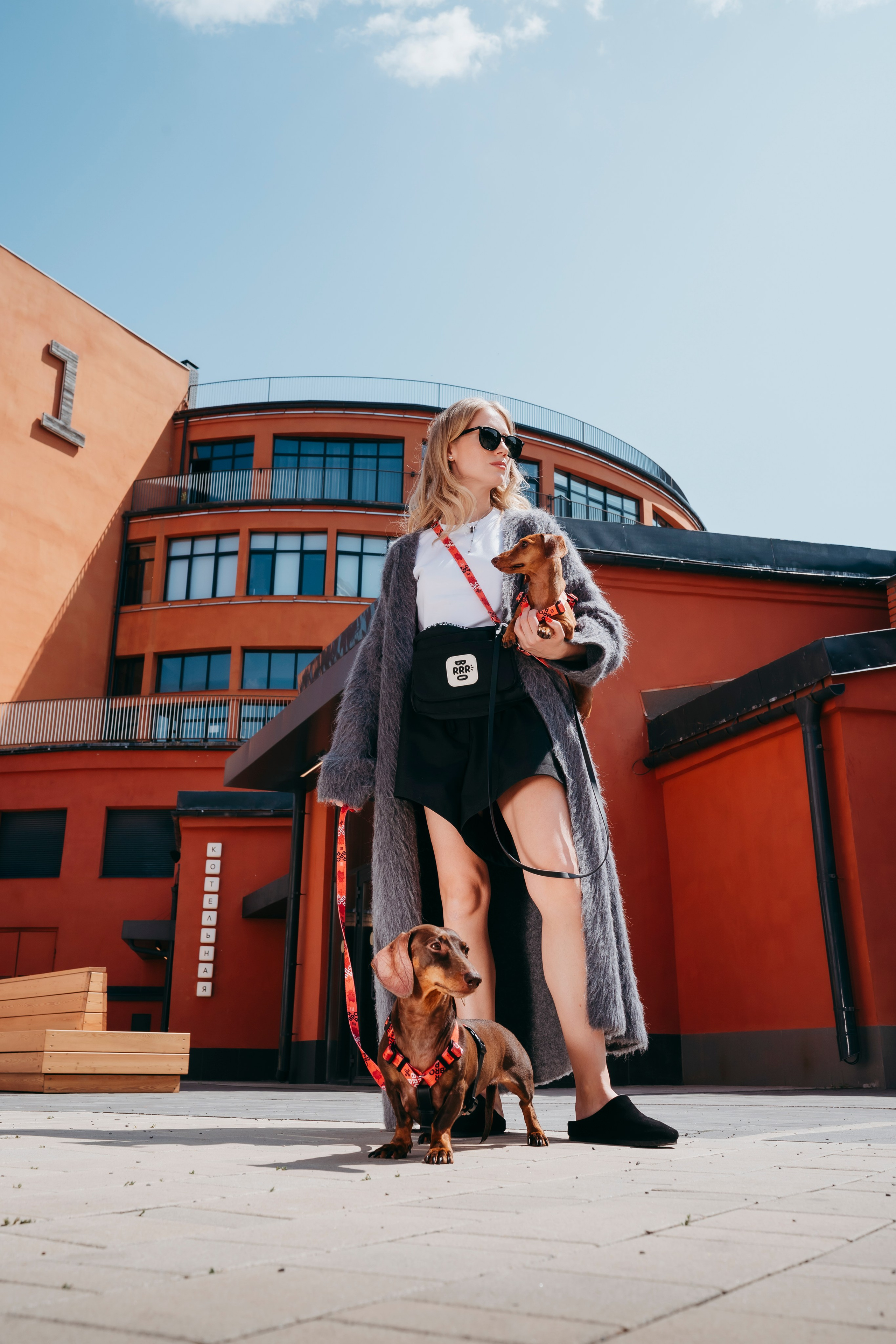 BRRRO. Семейный фотограф анималист Ананьева Мария — Москва