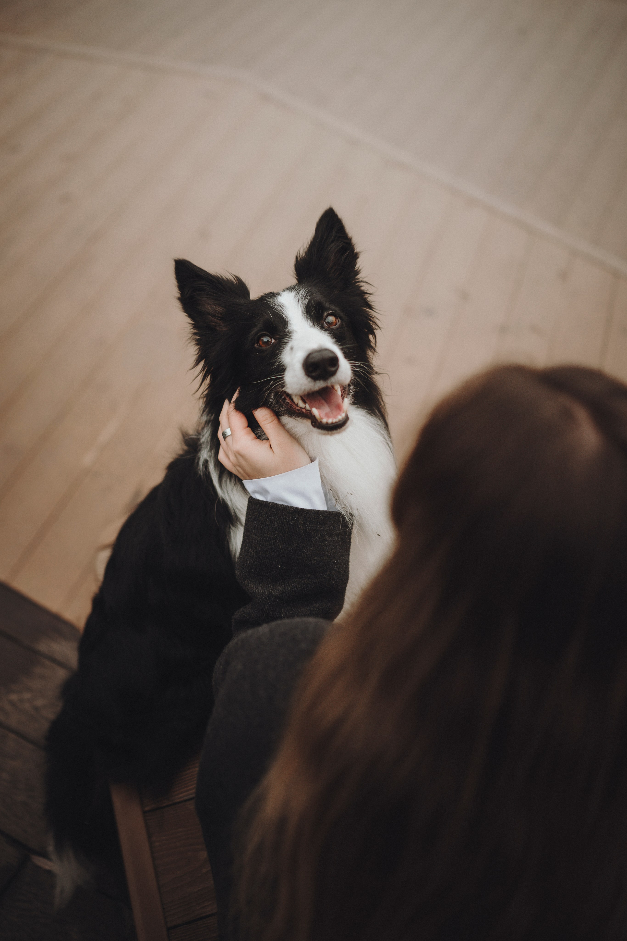Даша и Того. Семейный фотограф анималист Ананьева Мария — Москва