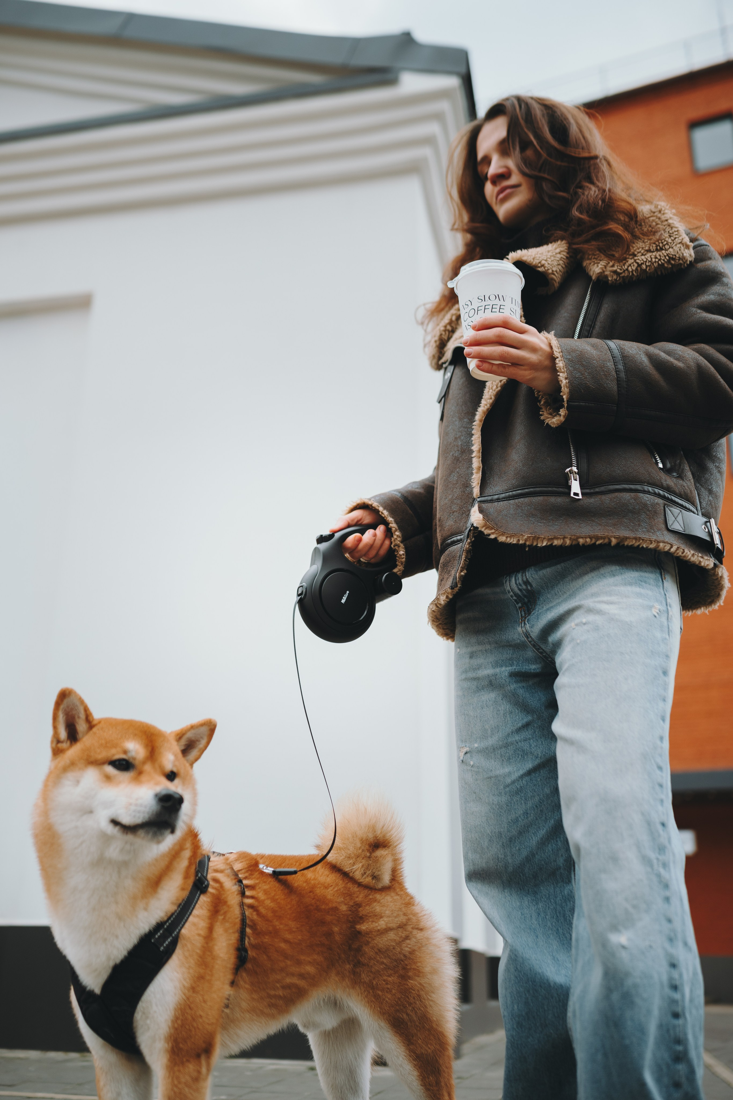 Pawsitive. Семейный фотограф анималист Ананьева Мария — Москва