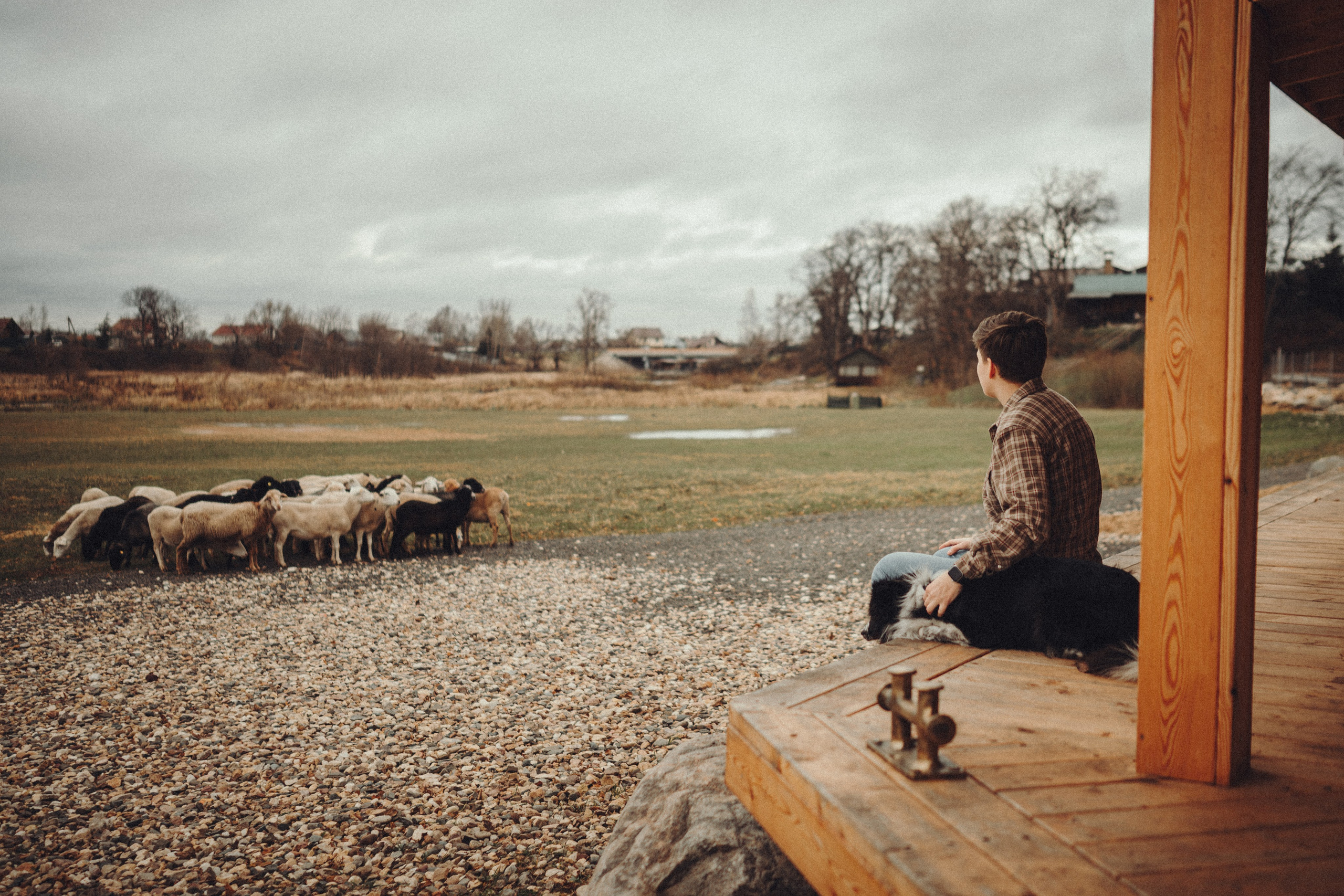 Настя и Рэги на ферме. Семейный фотограф анималист Ананьева Мария — Москва