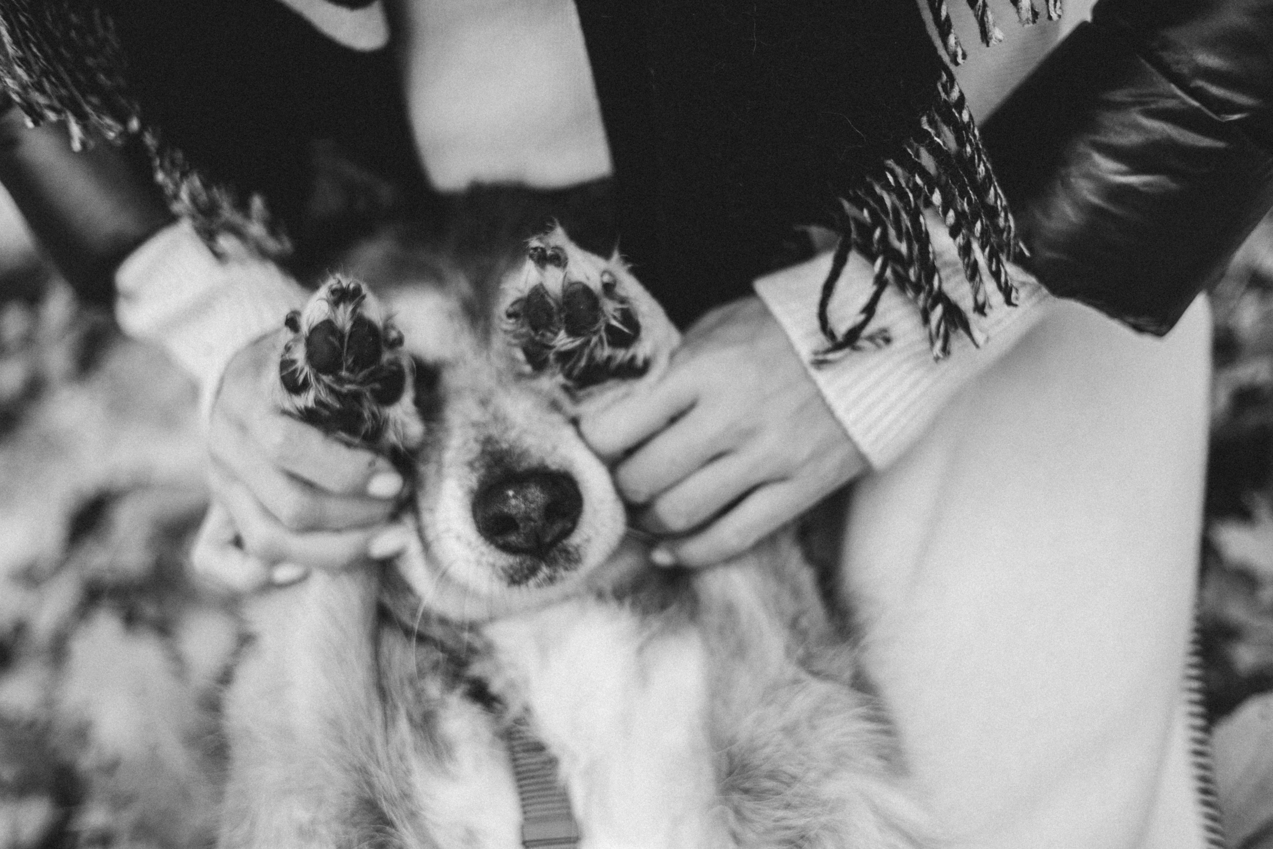 Аня и Ириска. Фотограф Анна Луценко Москва