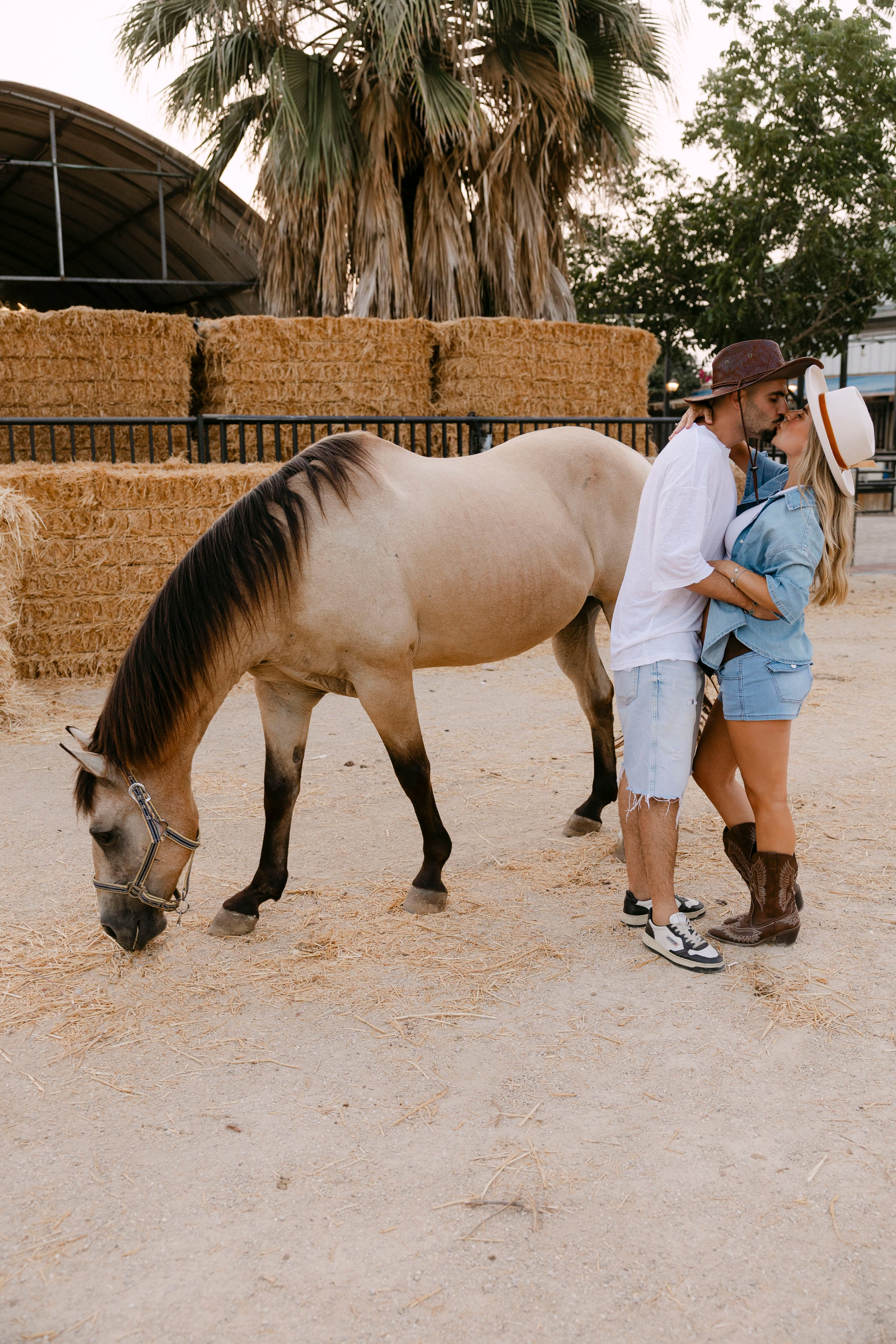 Pregnancy photoshoot at the horse farm. Главная