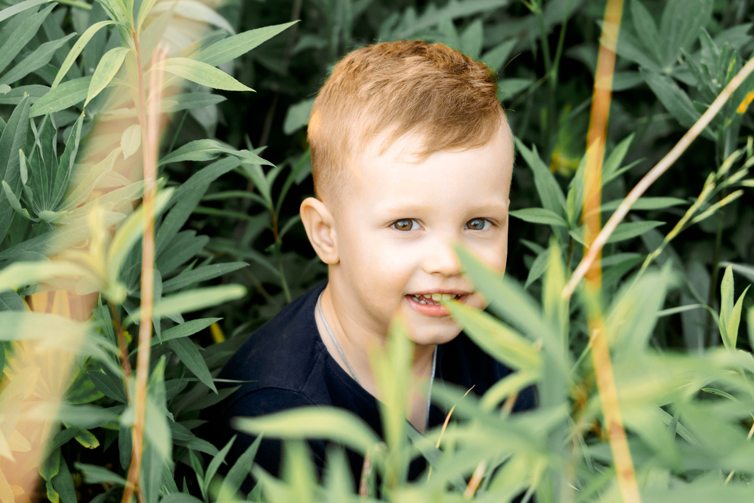 Люпины. Фотограф Юлия Попова