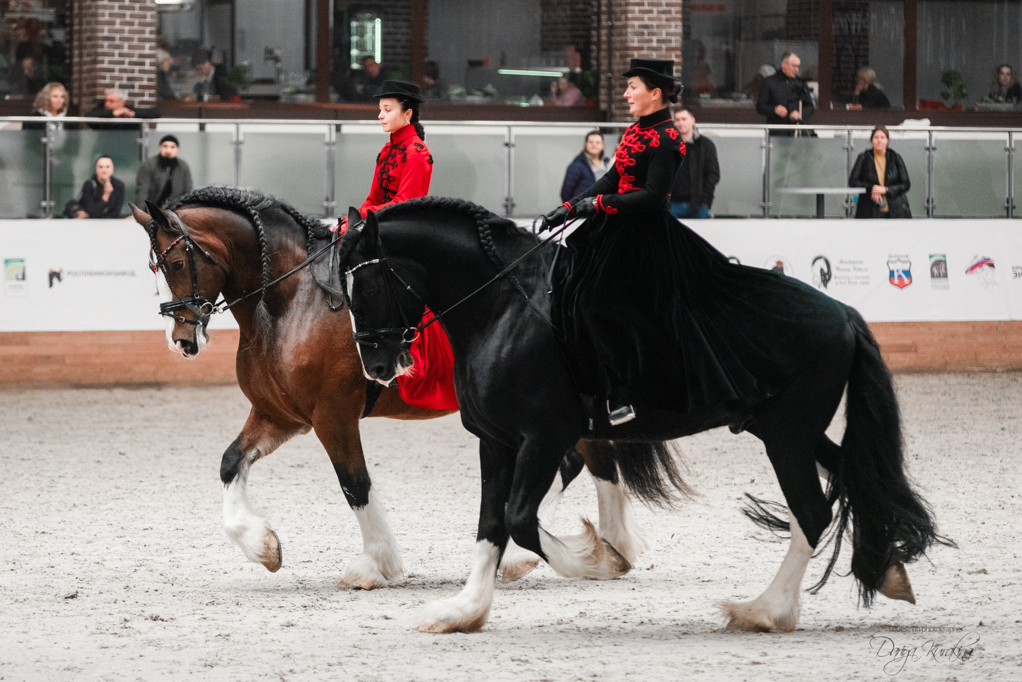 8-я международная выставка Конная Россия. Конный фотограф Куракина Дарья • Фотосессии с лошадьми